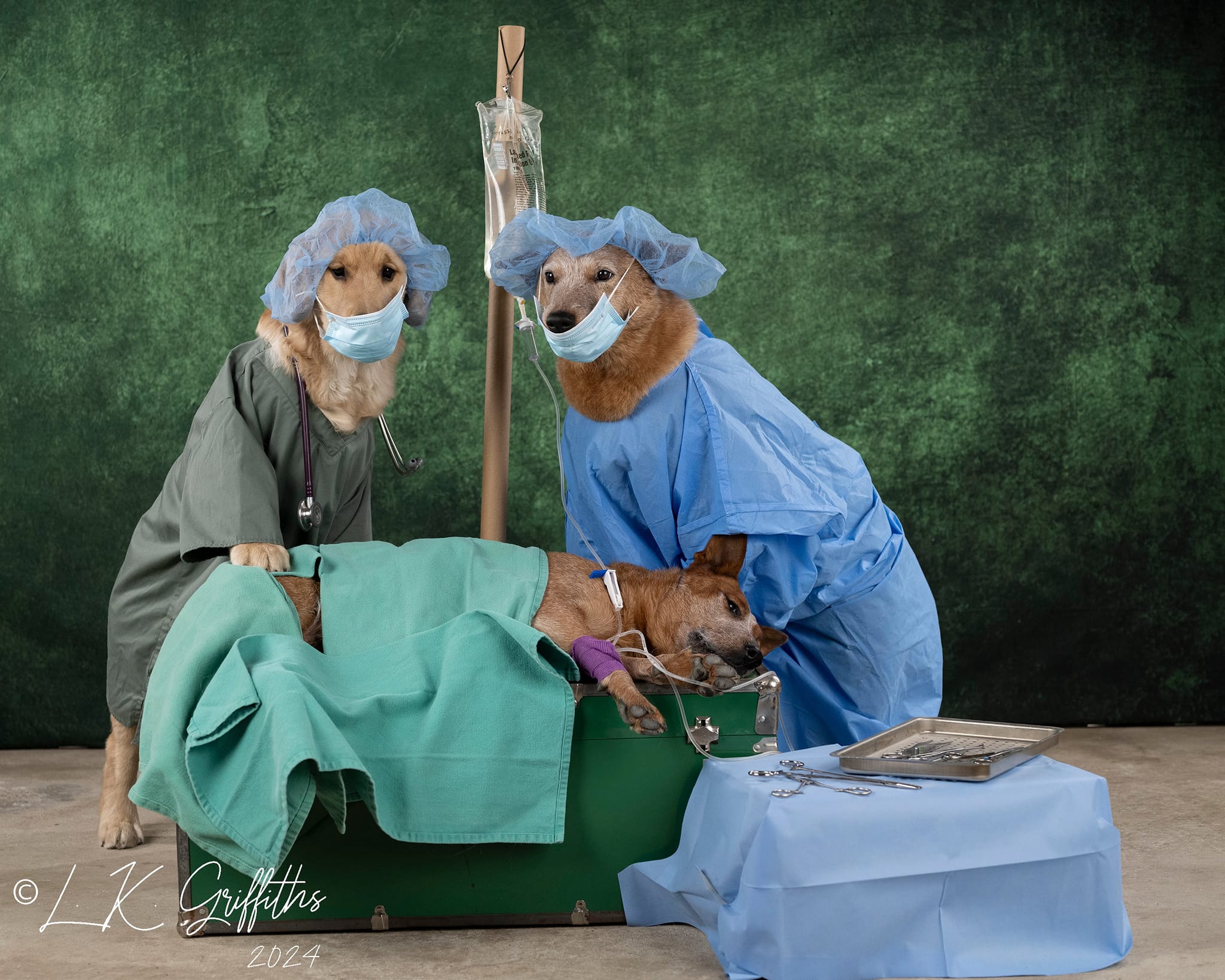 Kate Vert foncé Abstrait Portrait Toile de fond conçu par Kate Image - Kate Backdrop FR