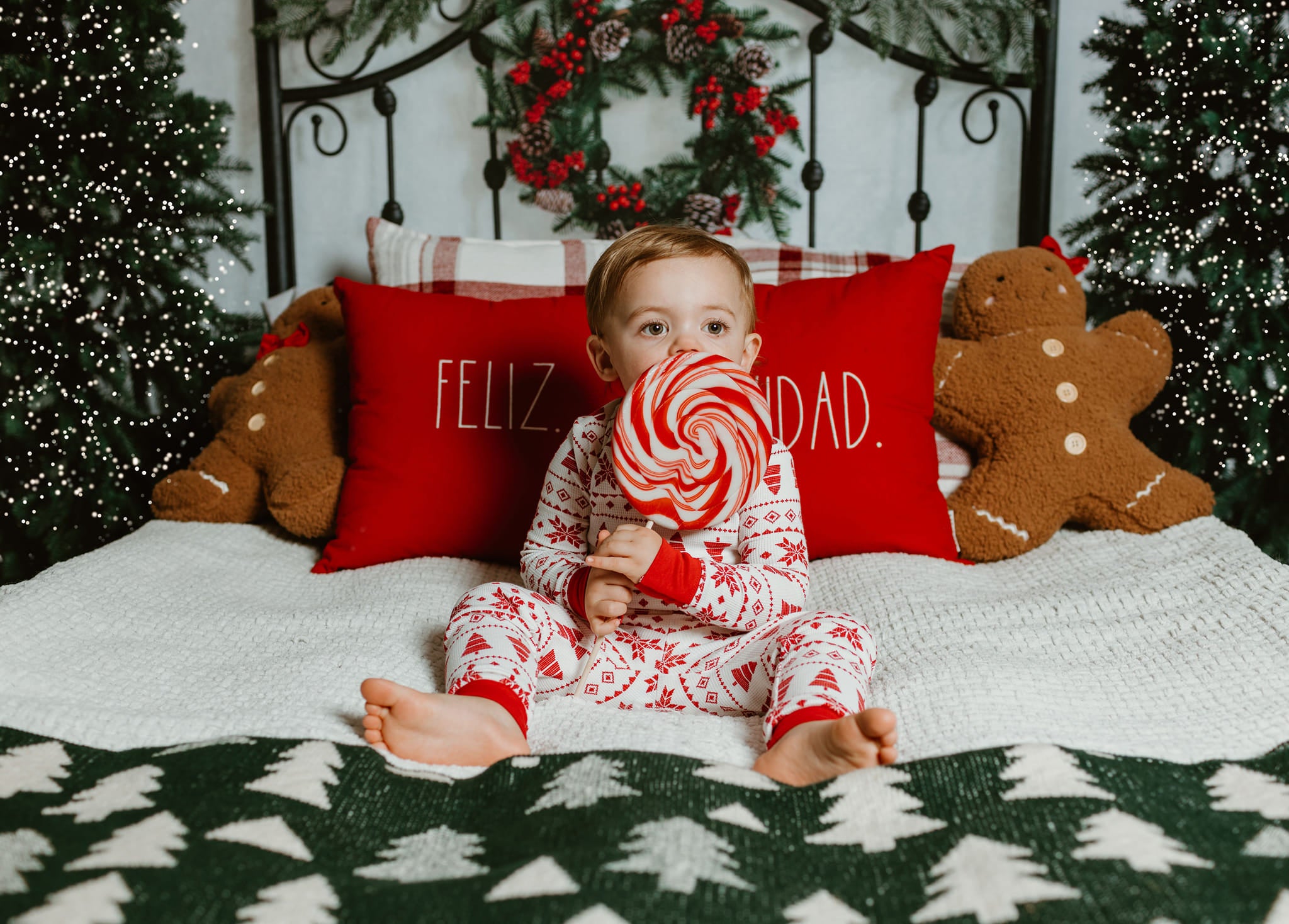 Kate Tête de lit Noël Arbre Vert Toile de fond conçue par Emetselch - Kate Backdrop FR