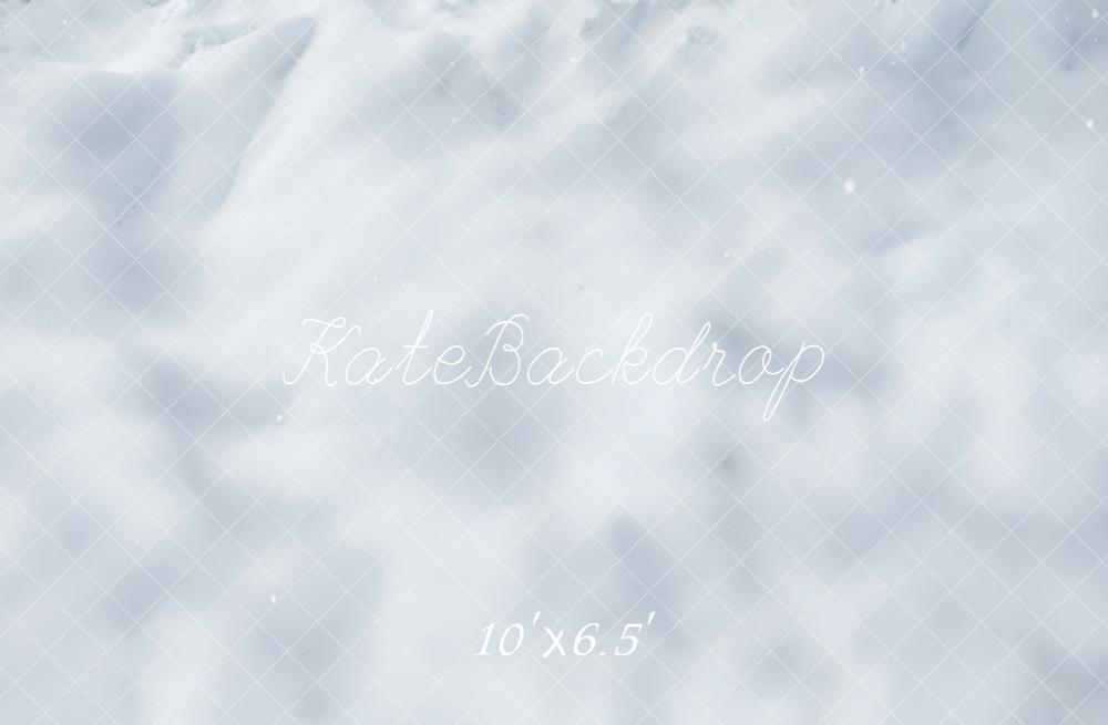 Kate Hiver Neige Texture Blanche Toile de fond conçue par Emetselch - Kate Backdrop FR