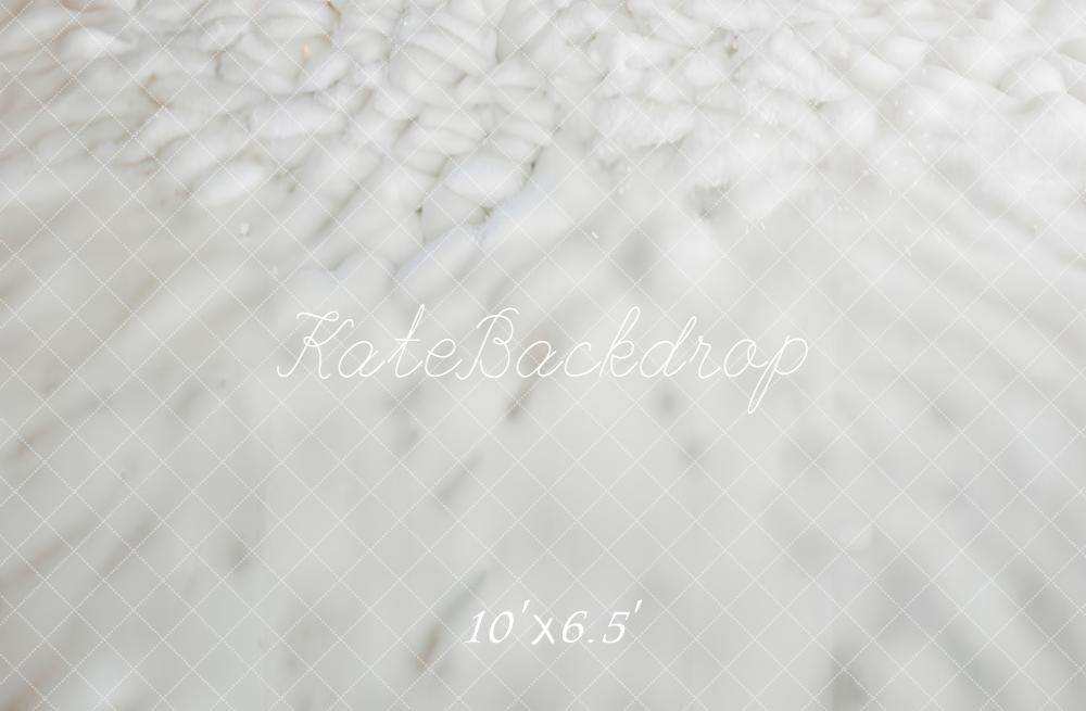 Kate Hiver Neige Blanche Sol Toile de fond conçue par Emetselch - Kate Backdrop FR