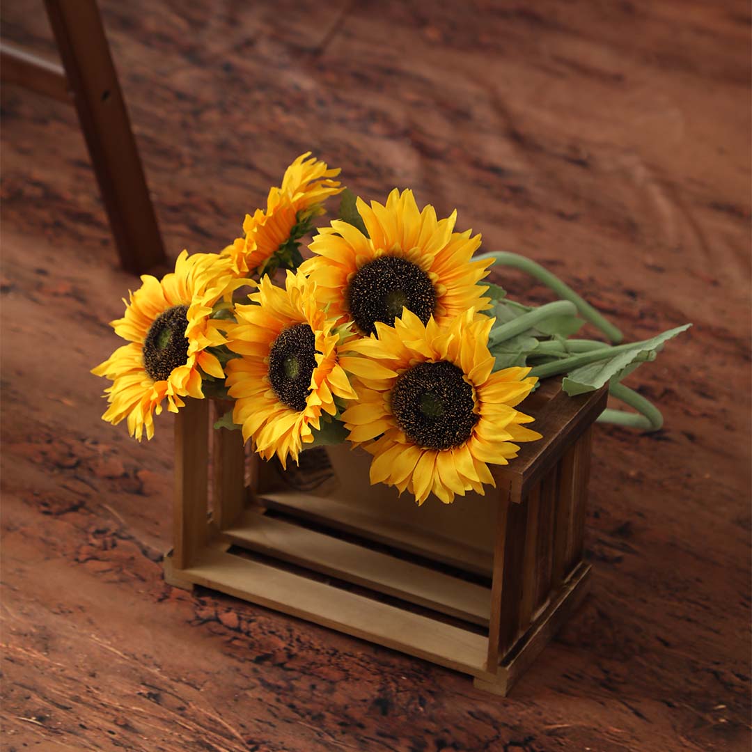 Kate Été Tournesol Chemin Kit Photo - Kate Backdrop FR