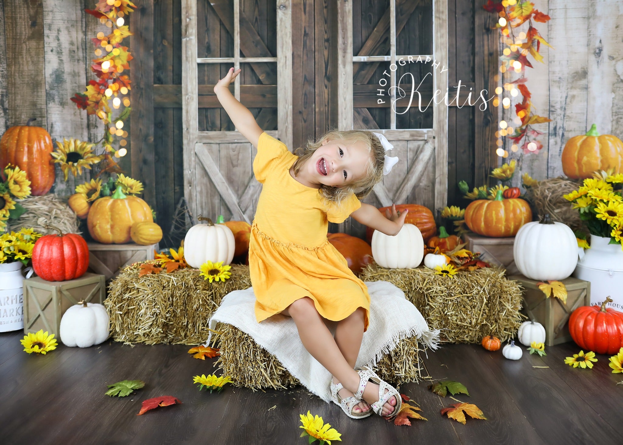 Kate Porte de grange Citrouille Automne Toile de fond conçue par Emetselch - Kate Backdrop FR