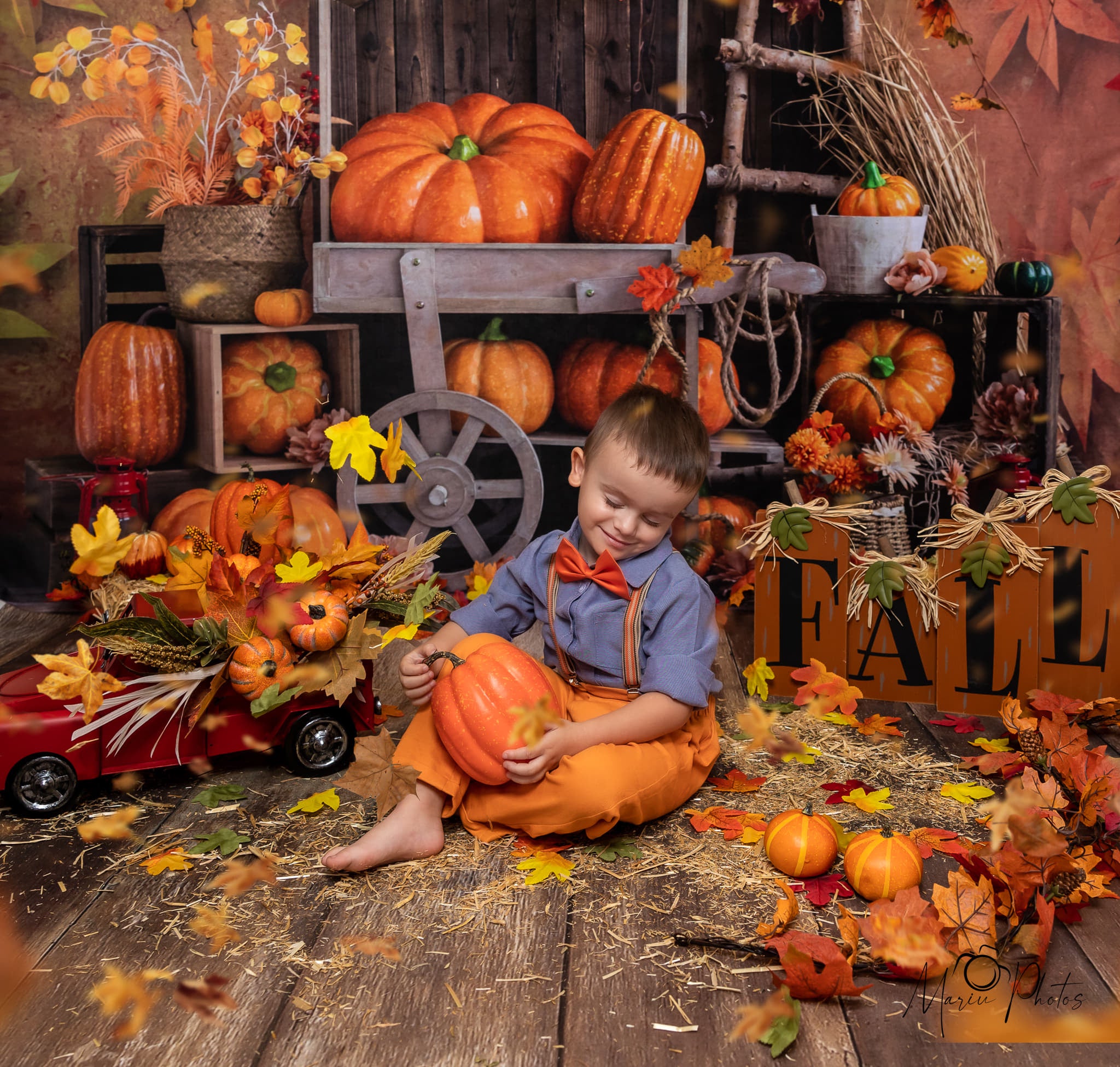 Kate Autumn Citrouille Feuille d'érable Toile de fond conçu par Emetselch - Kate Backdrop FR