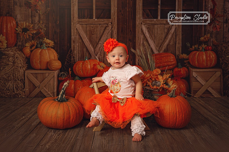 Kate Porte de grange Citrouille Automne Toile de fond conçue par Emetselch - Kate Backdrop FR