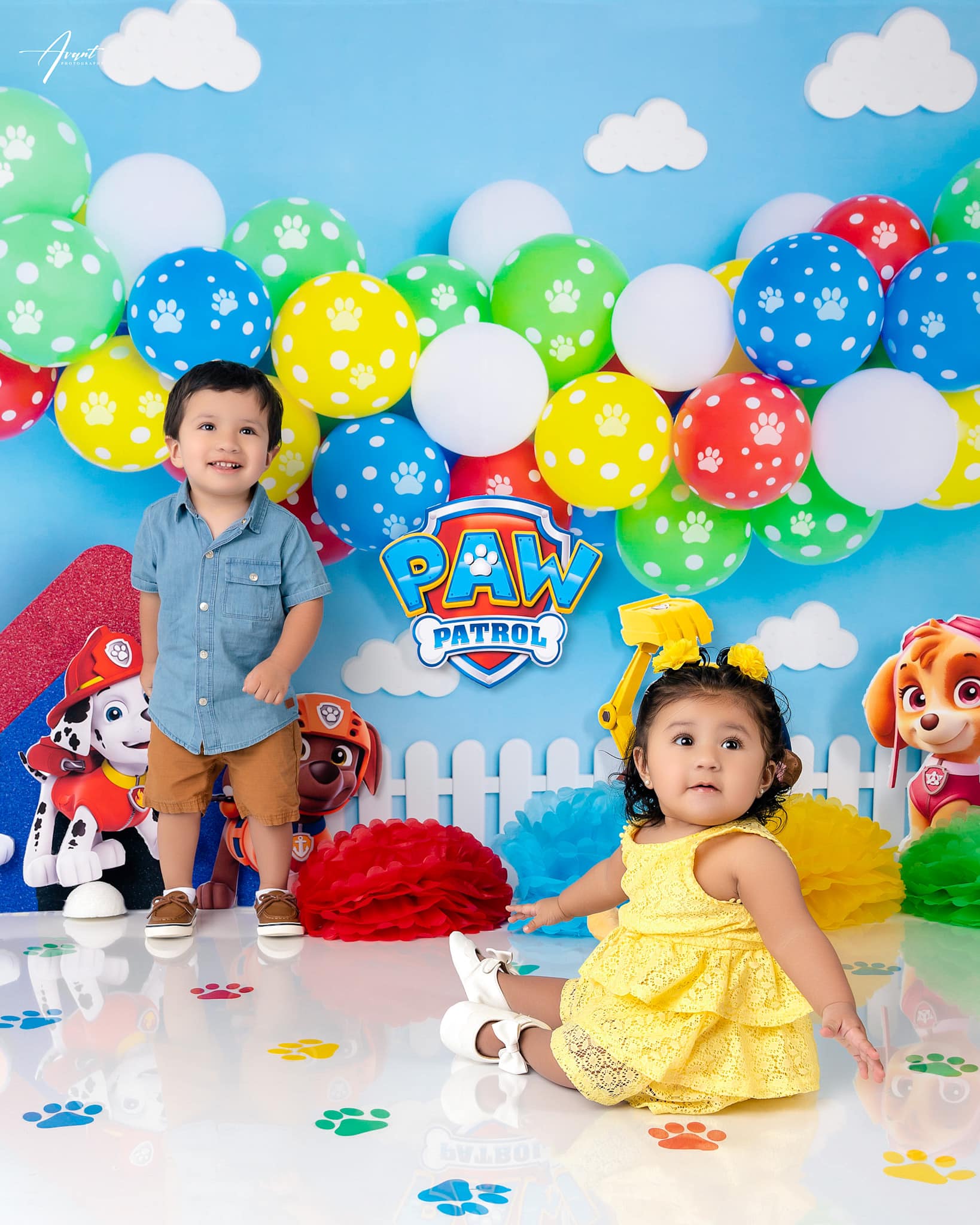 Kate Ballons Thème Patte Bleu Photographie Toile de fond conçue par Kerry Anderson - Kate Backdrop FR