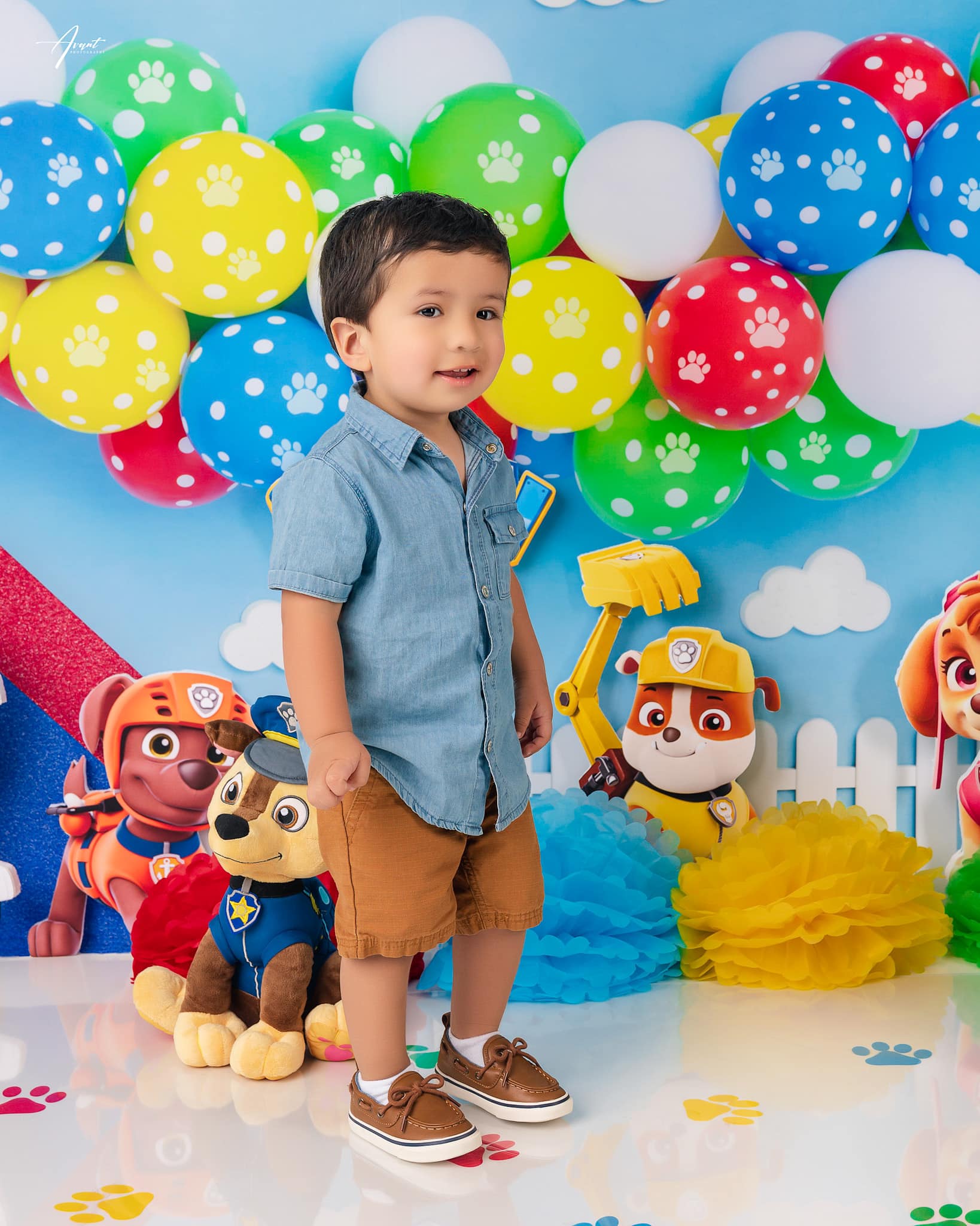 Kate Ballons Thème Patte Bleu Photographie Toile de fond conçue par Kerry Anderson - Kate Backdrop FR