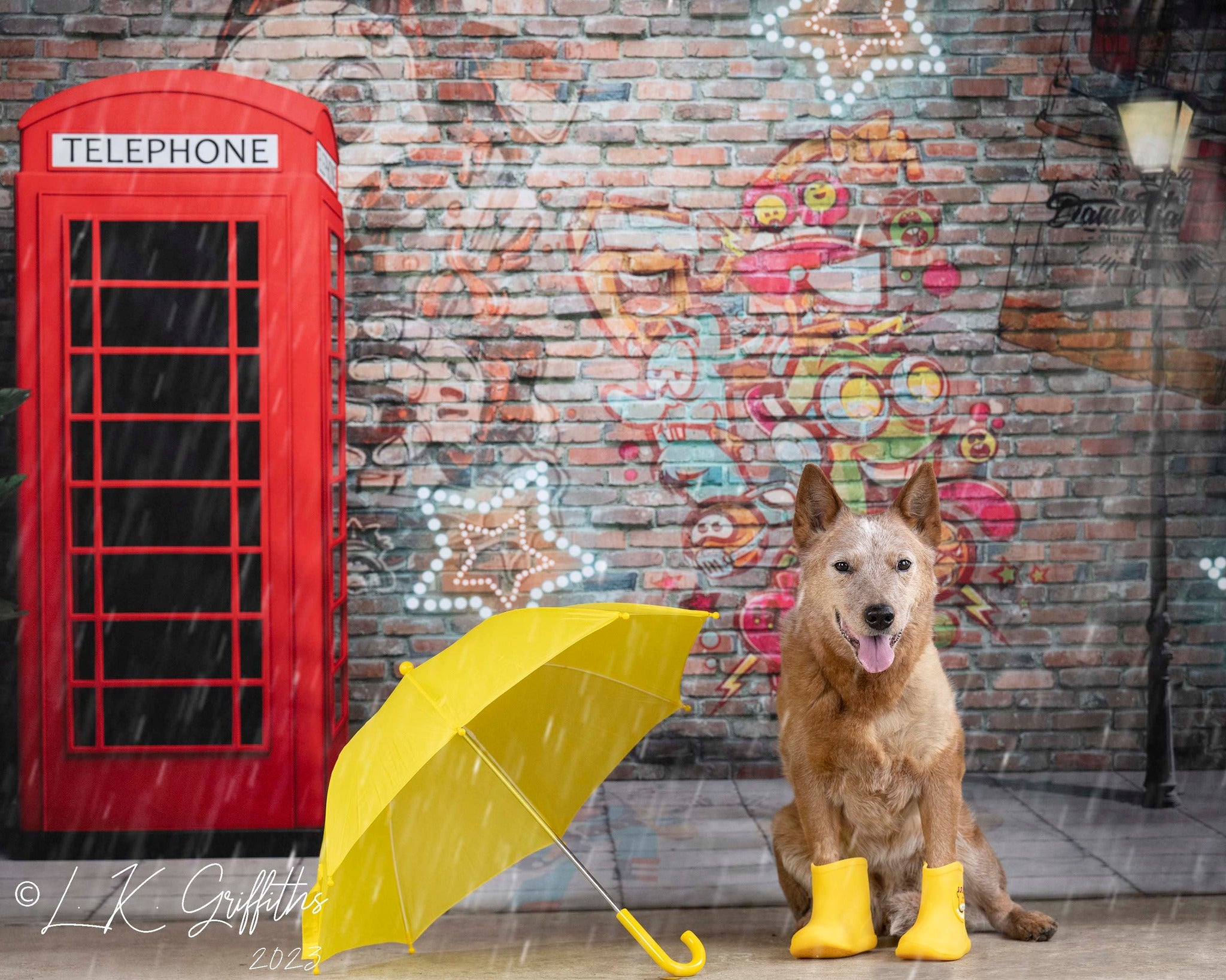 Kate Mur de graffiti Cabine téléphonique Rétro Toile de fond pour la photographie - Kate Backdrop FR