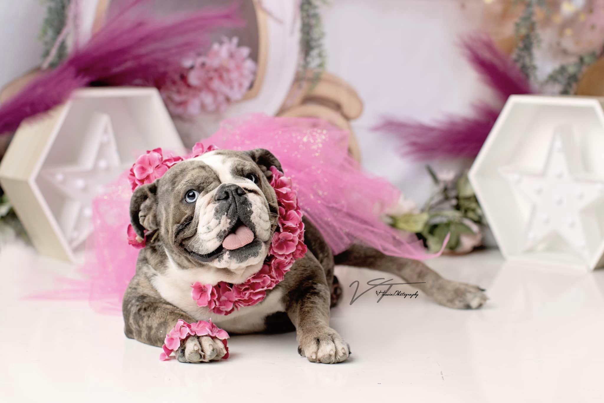 Kate Cake smash Fleurs Ballon Enfant Toile de fond conçue par Lisa B - Kate Backdrop FR