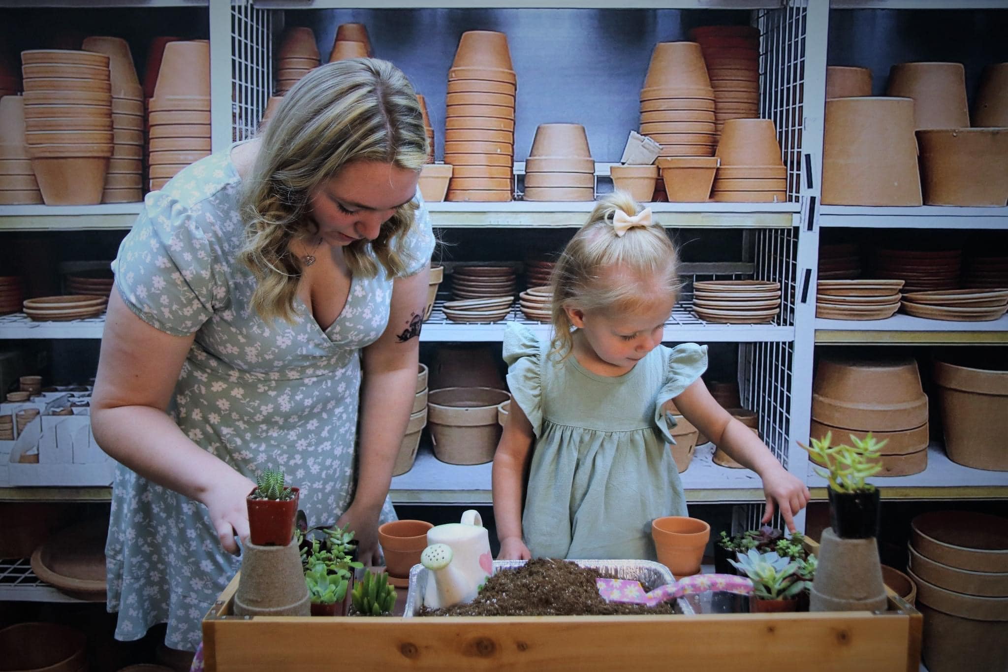 Kate Pot de fleur Étagères Toile de fond conçue par Mandy Ringe - Kate Backdrop FR