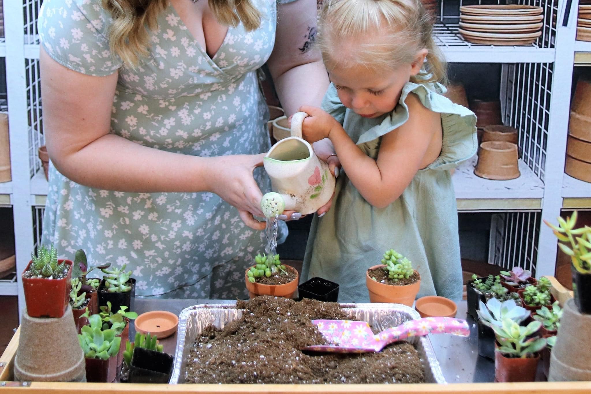 Kate Pot de fleur Étagères Toile de fond conçue par Mandy Ringe - Kate Backdrop FR