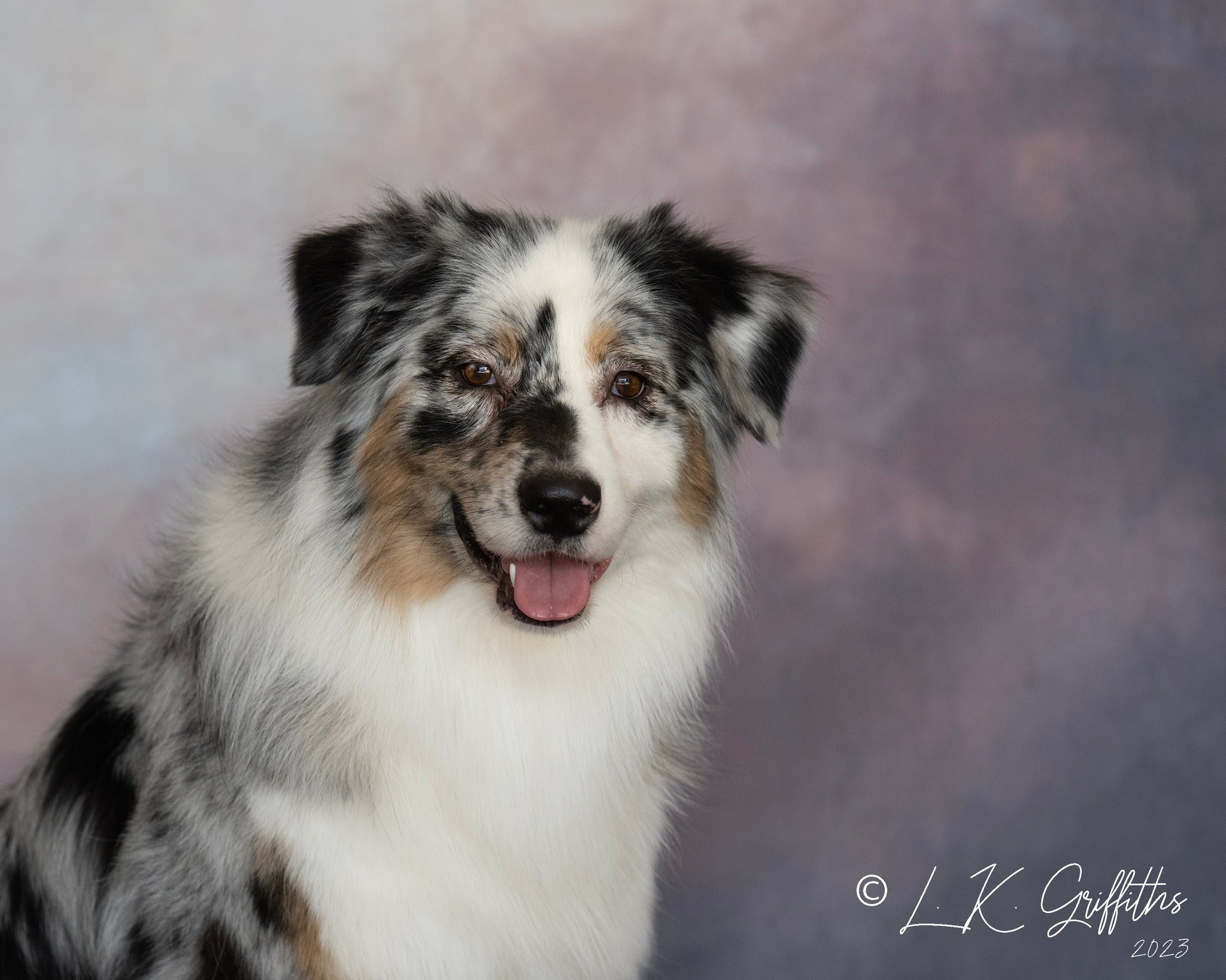 Kate Abstrait Fantaisie Rêve Nuage Ciel Toile de fond conçue par Chain Photographie - Kate Backdrop FR