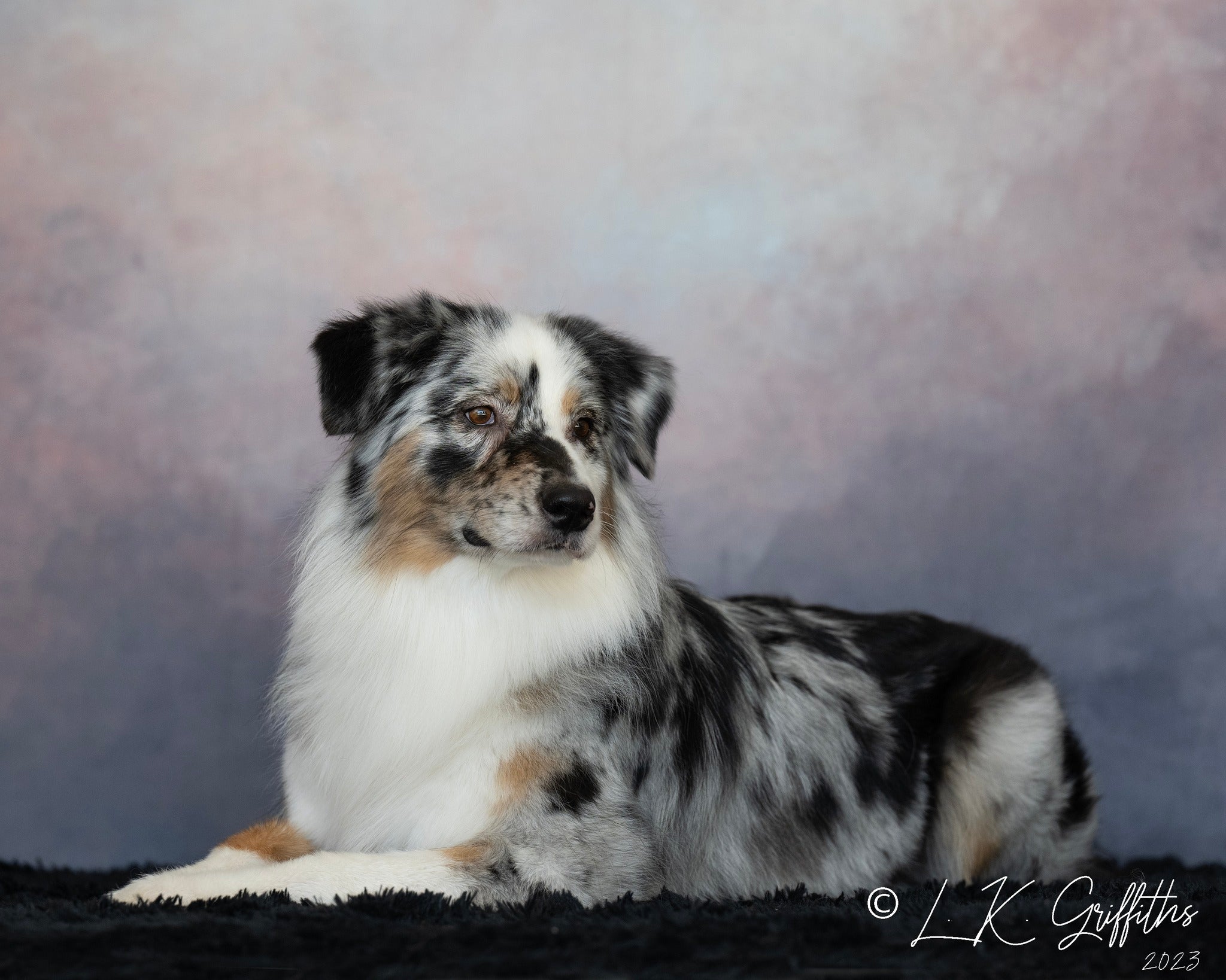 Kate Abstrait Fantaisie Rêve Nuage Ciel Toile de fond conçue par Chain Photographie - Kate Backdrop FR