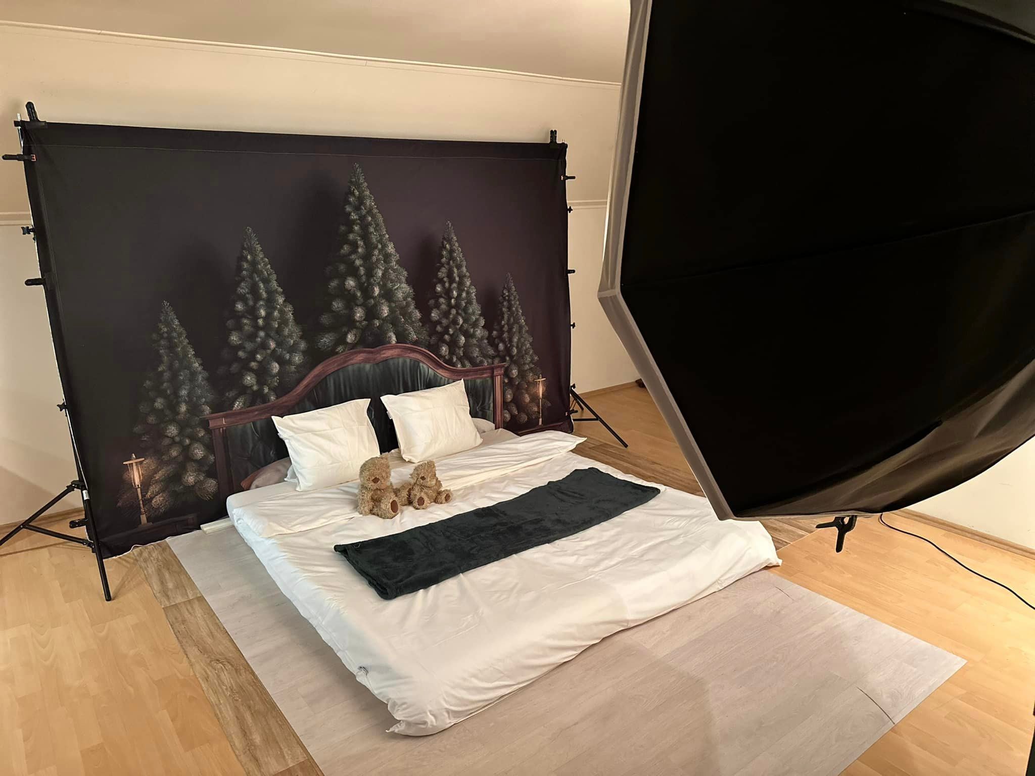 Kate Hiver Pin Tête de lit Toile de fond conçue par Mandy Ringe - Kate Backdrop FR