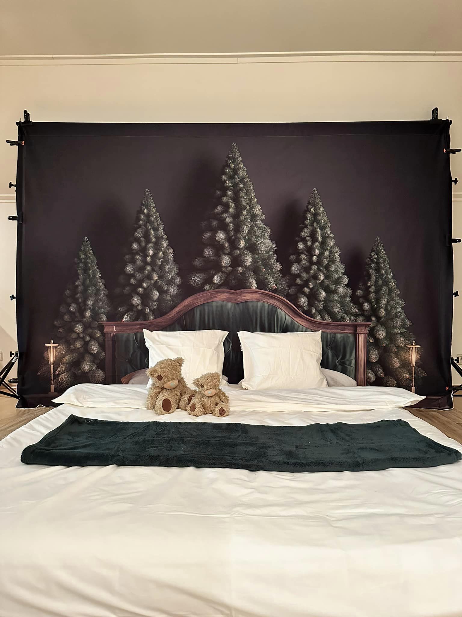 Kate Hiver Pin Tête de lit Toile de fond conçue par Mandy Ringe - Kate Backdrop FR