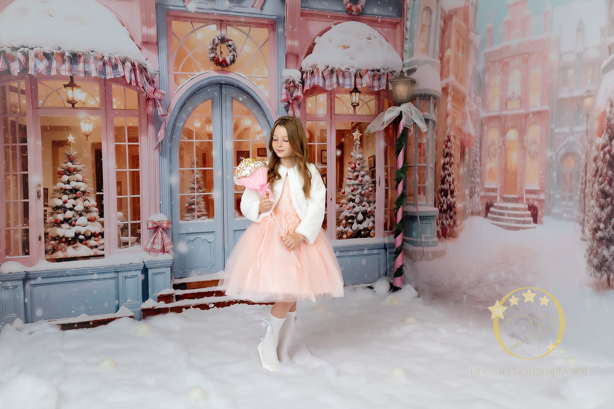 Kate Noël Rose Neige Rue Magasin Ensemble de chambre (8pix8pi&10pix8pi&8pix10pi) - Kate Backdrop FR