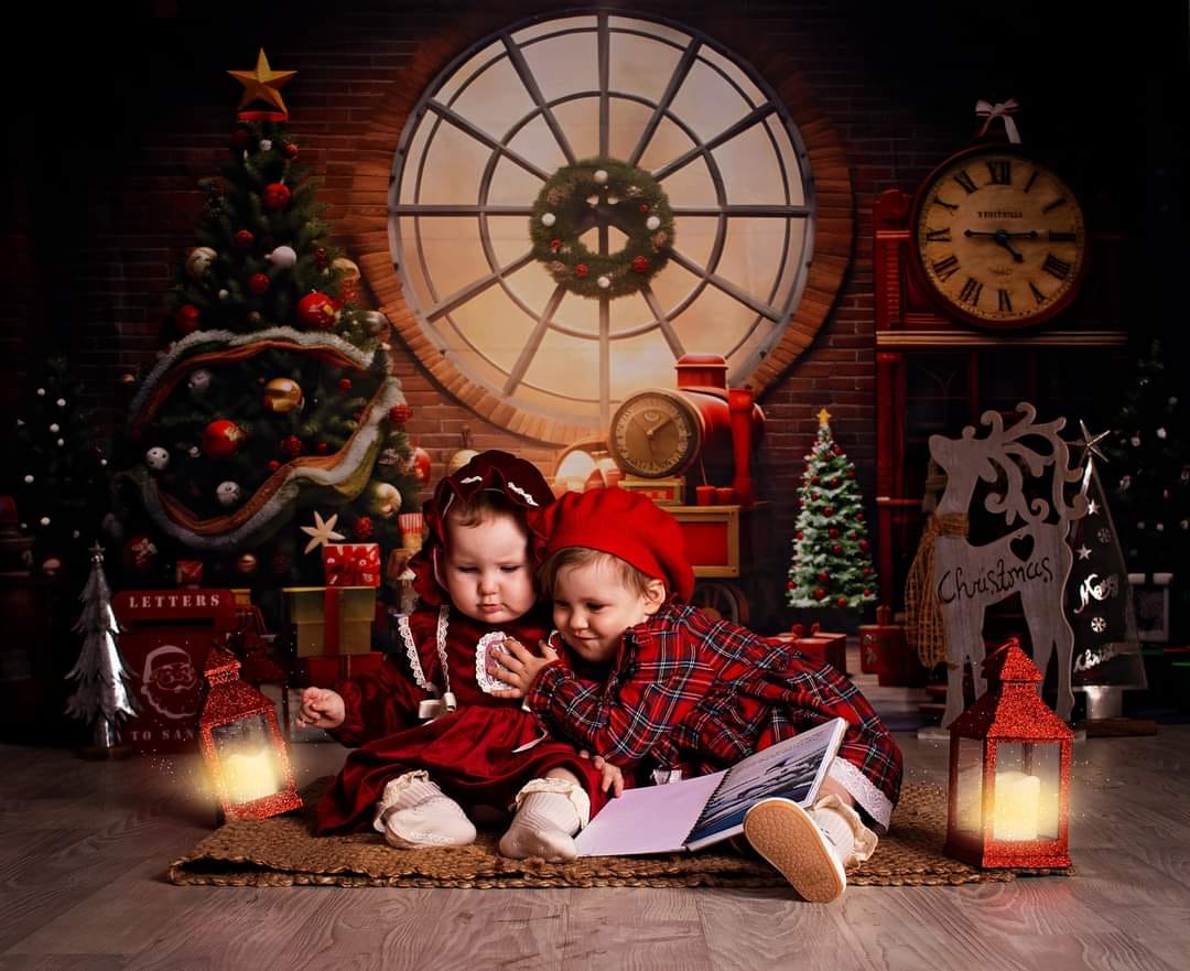 Kate Noël Mur de briques Cadeaux Fenêtre Toile de fond pour la photographie - Kate Backdrop FR