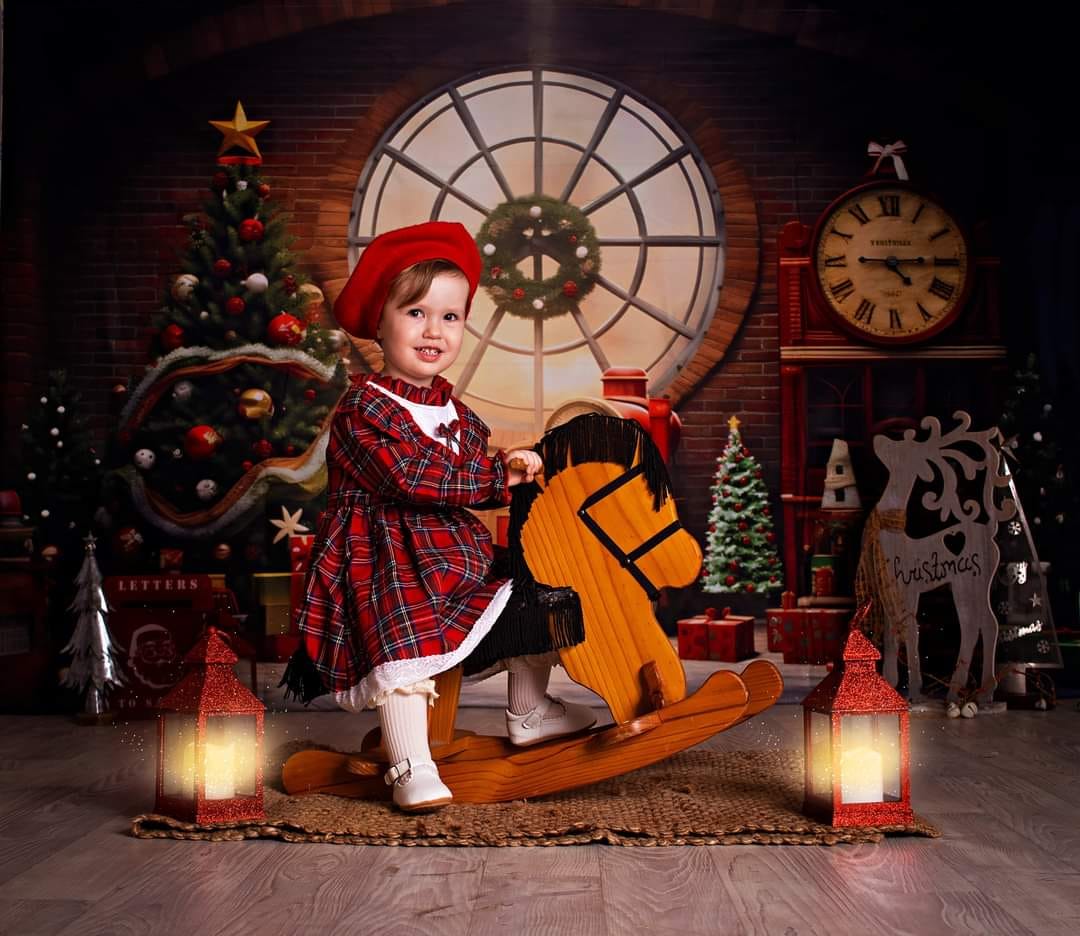 Kate Noël Mur de briques Cadeaux Fenêtre Toile de fond pour la photographie - Kate Backdrop FR