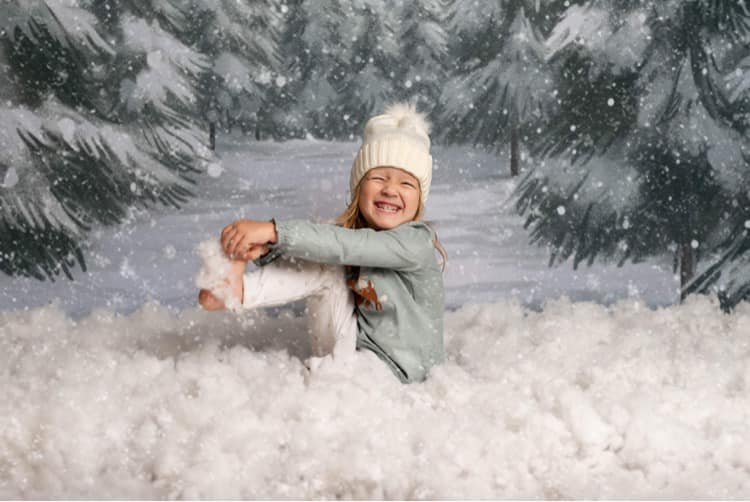 Kate Beaux-Arts Hiver Noël Forêt Toile de fond conçue par GQ - Kate Backdrop FR