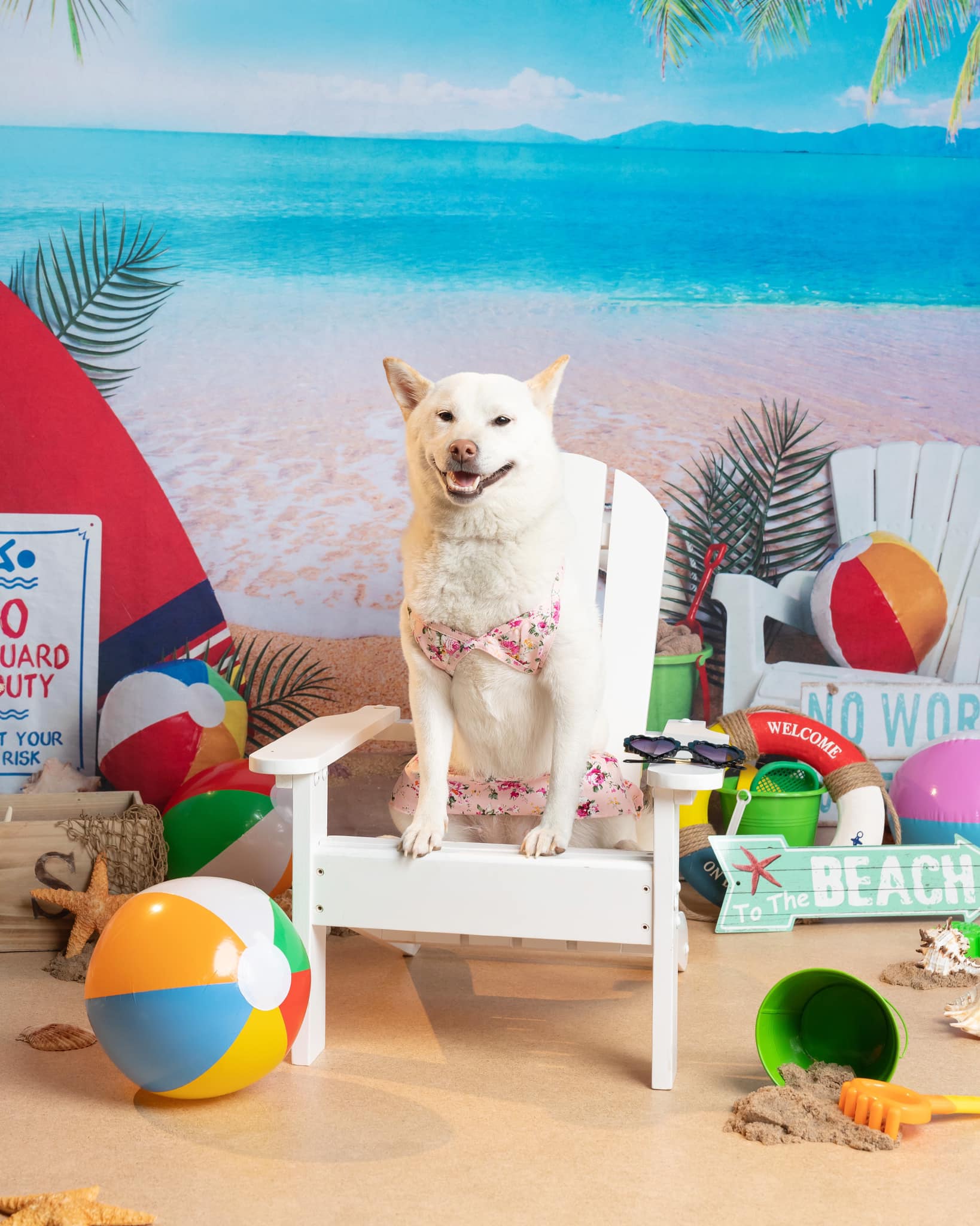 Kate Jour de plage Mer Été Surf Toile de fond conçue par Megan Leigh - Kate Backdrop FR