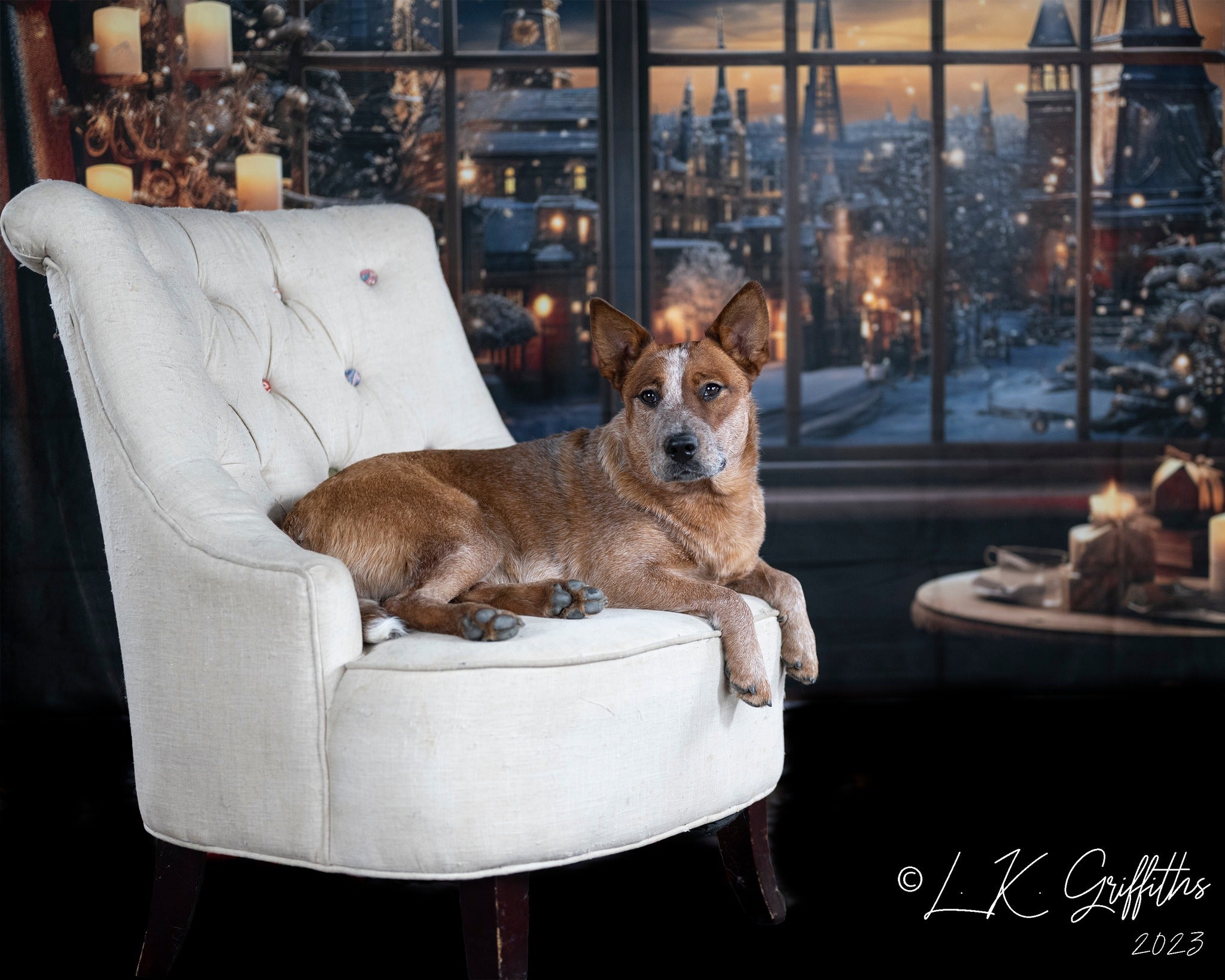 Kate Fenêtre Ville Bougies Nuit Neige Toile de fond conçu par Emetselch - Kate Backdrop FR