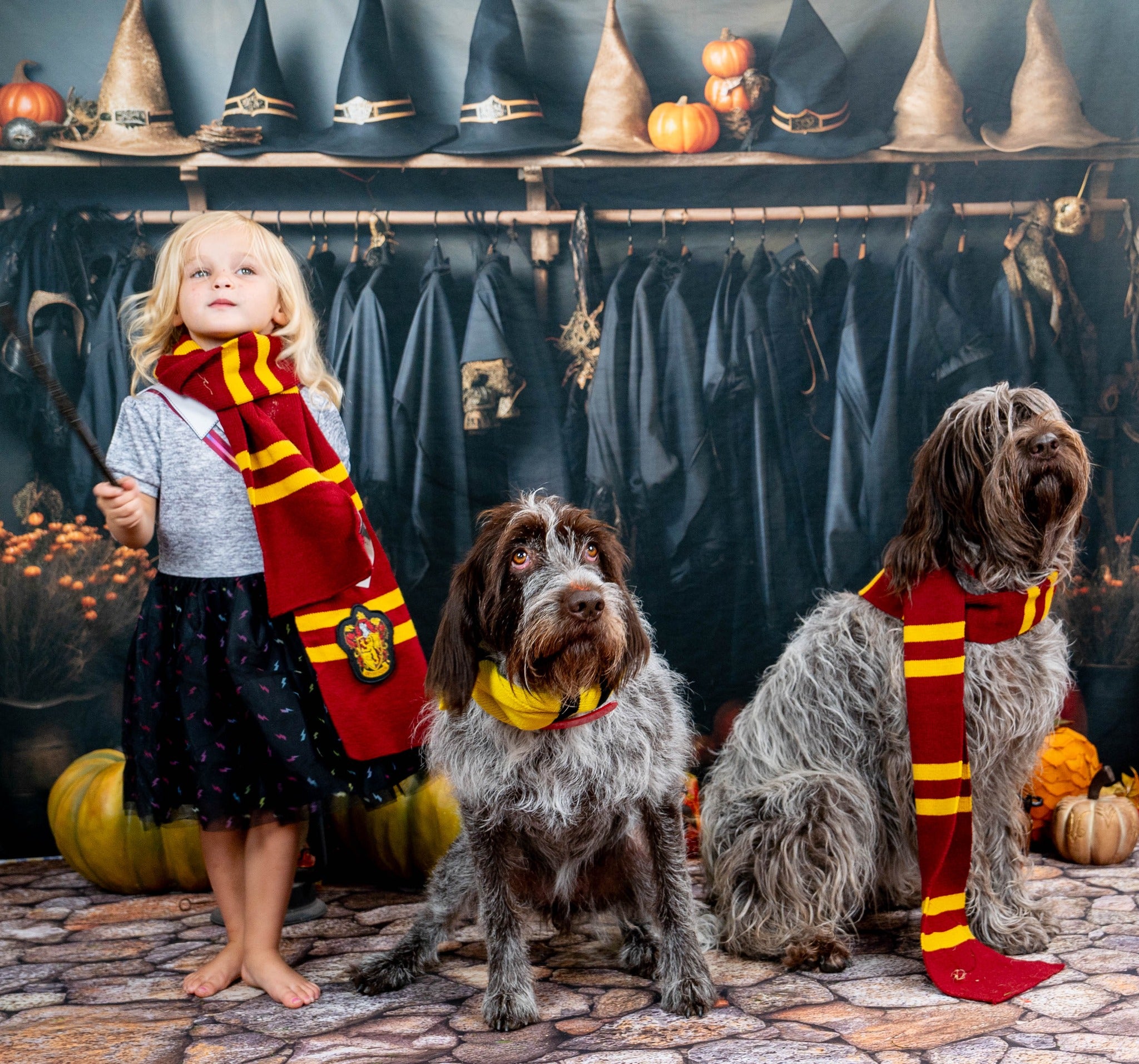 Kate Vestiaire du Enchanteur Halloween Toile de fond pour la photographie