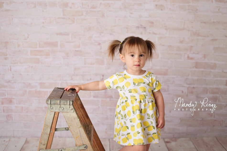 Kate Mur de briques Ferme Crème légère Toile de fond conçue par Mandy Ringe - Kate Backdrop FR