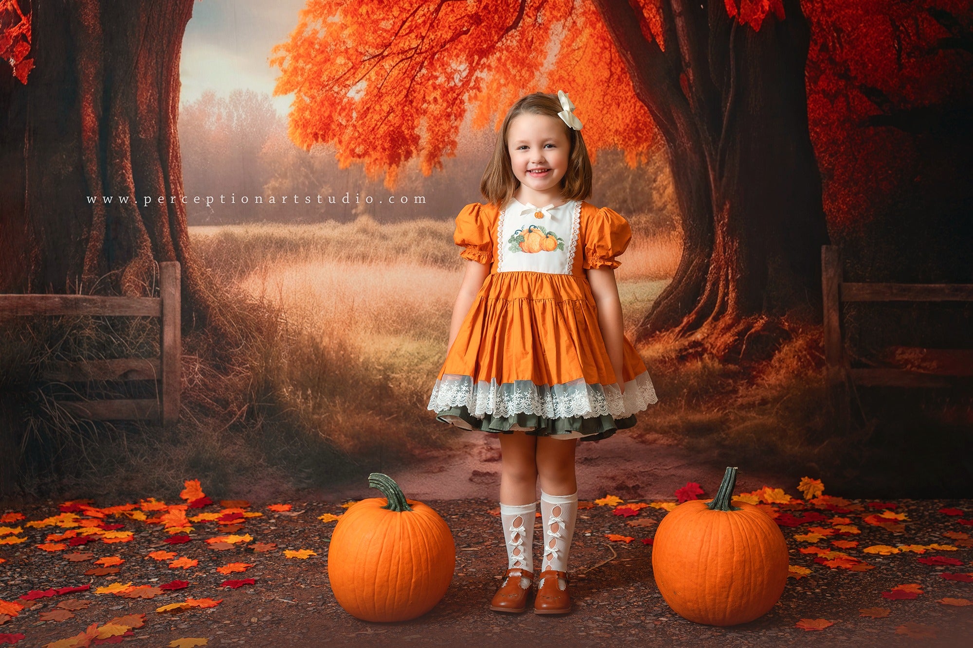 Kate Automne Arbres Feuille d'érable Toile de fond pour la photographie