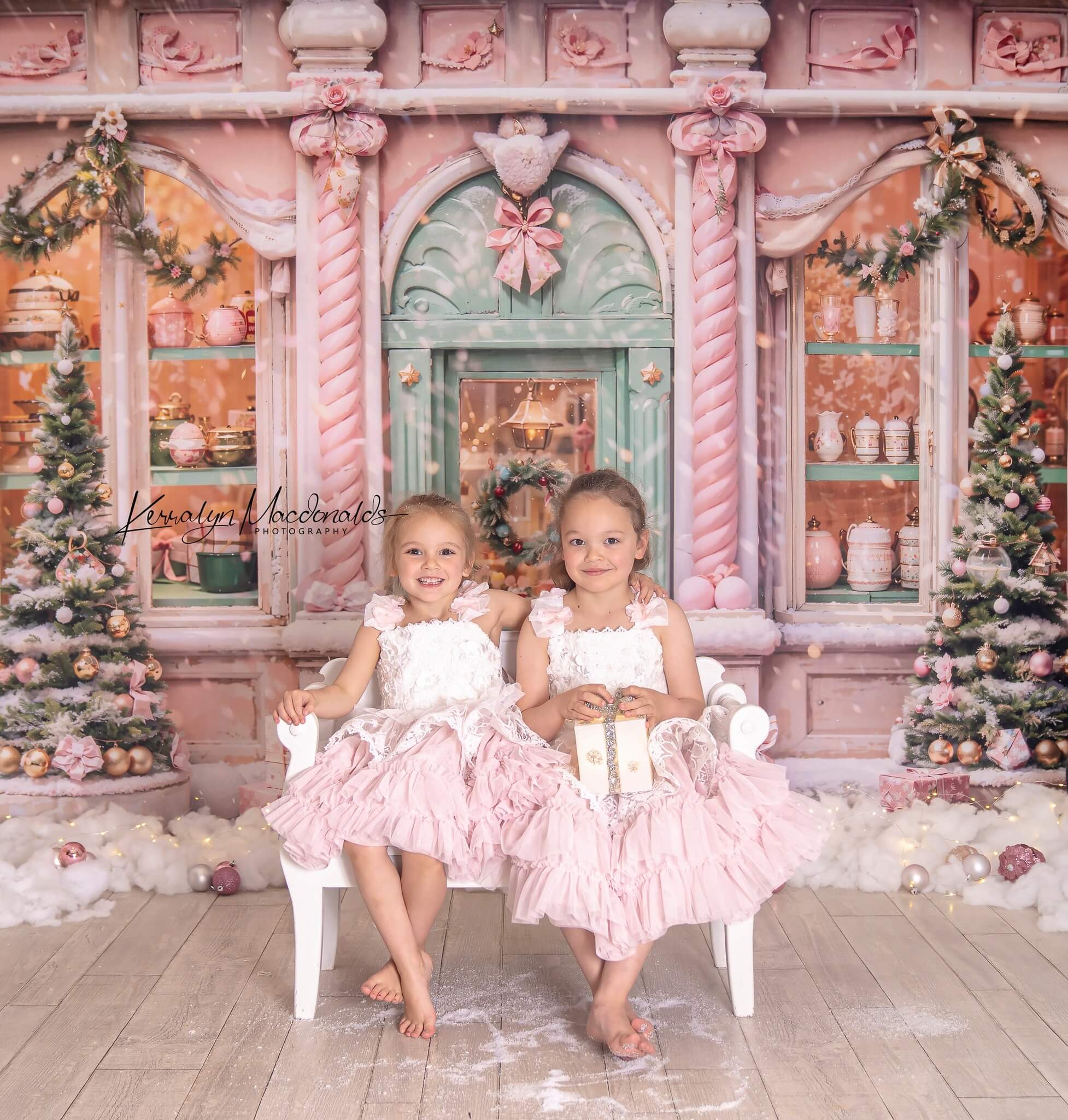 Kate Noël Rose Boutique Neige Toile de fond Conçu par Chain Photographie - Kate Backdrop FR