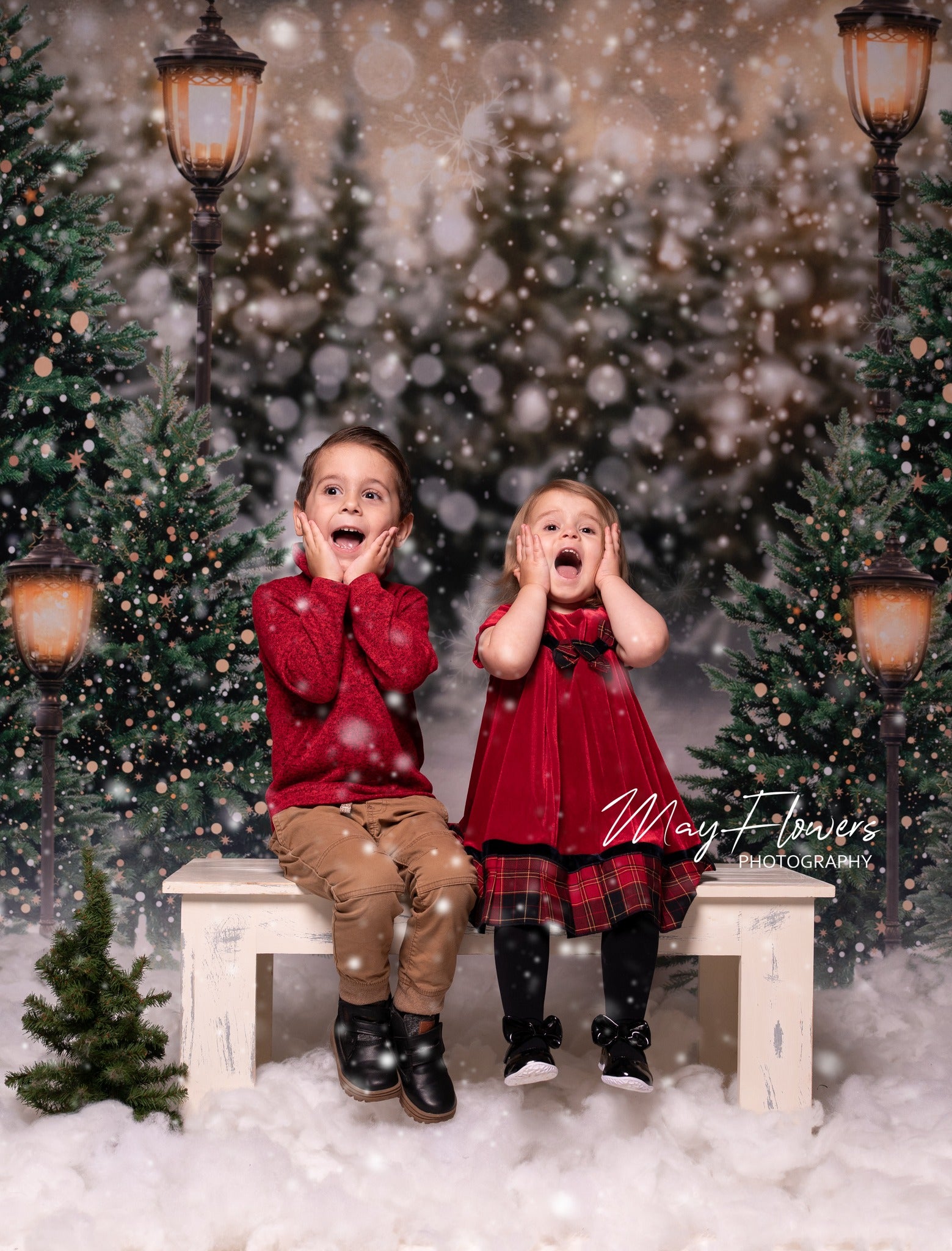 Kate Hiver Noël Neige Forêt Lumières Toile de fond pour la photographie - Kate Backdrop FR