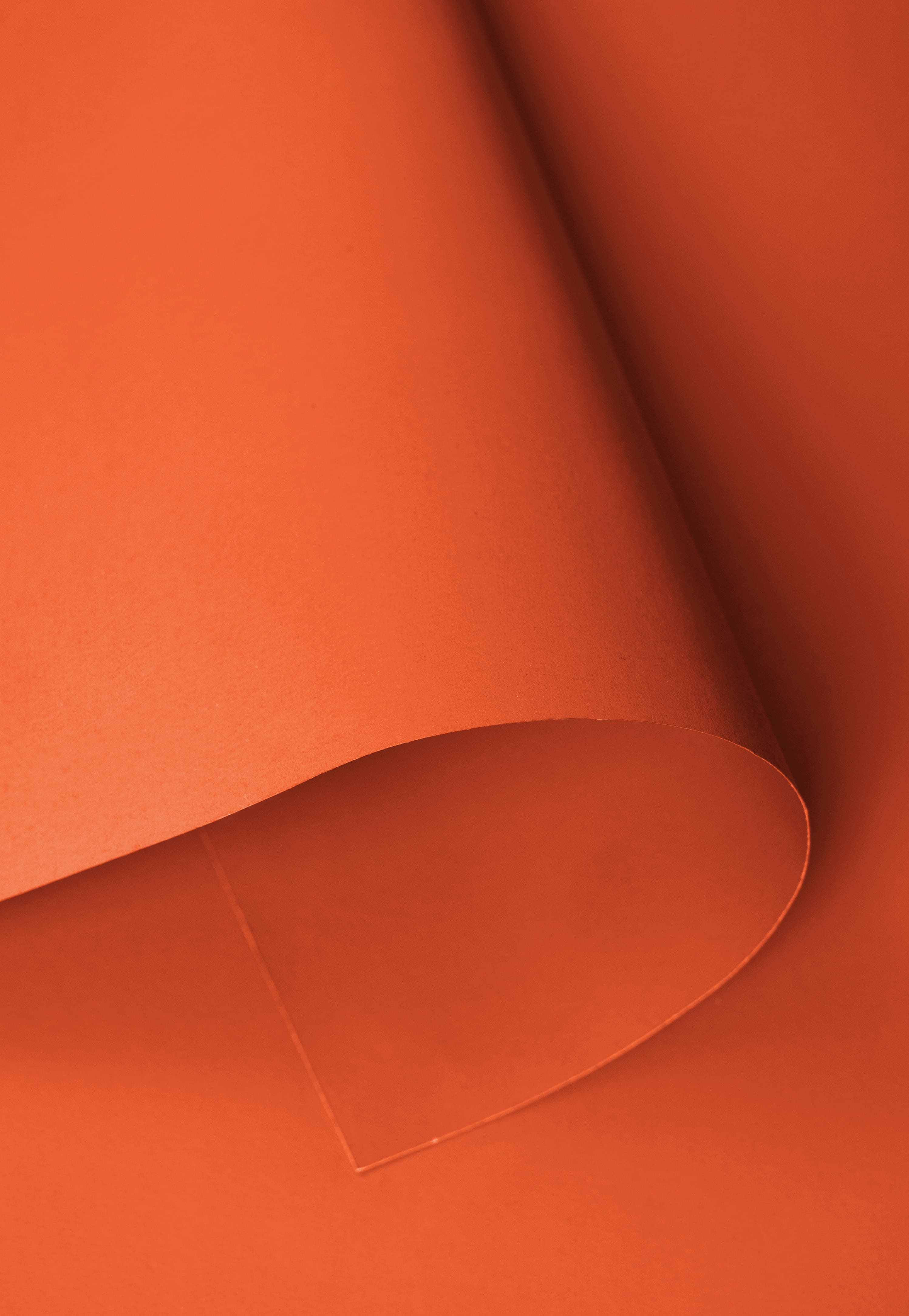 Kate Orange Vif Fond de Papier Sans Couture pour la photographie - Kate Backdrop FR