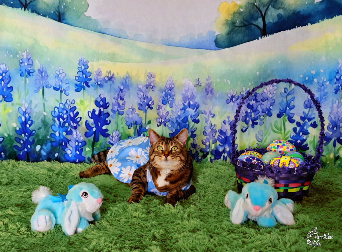 Kate Bleuet Fleurs épanouies Champ Toile de fond Conçu par Patty Roberts - Kate Backdrop FR