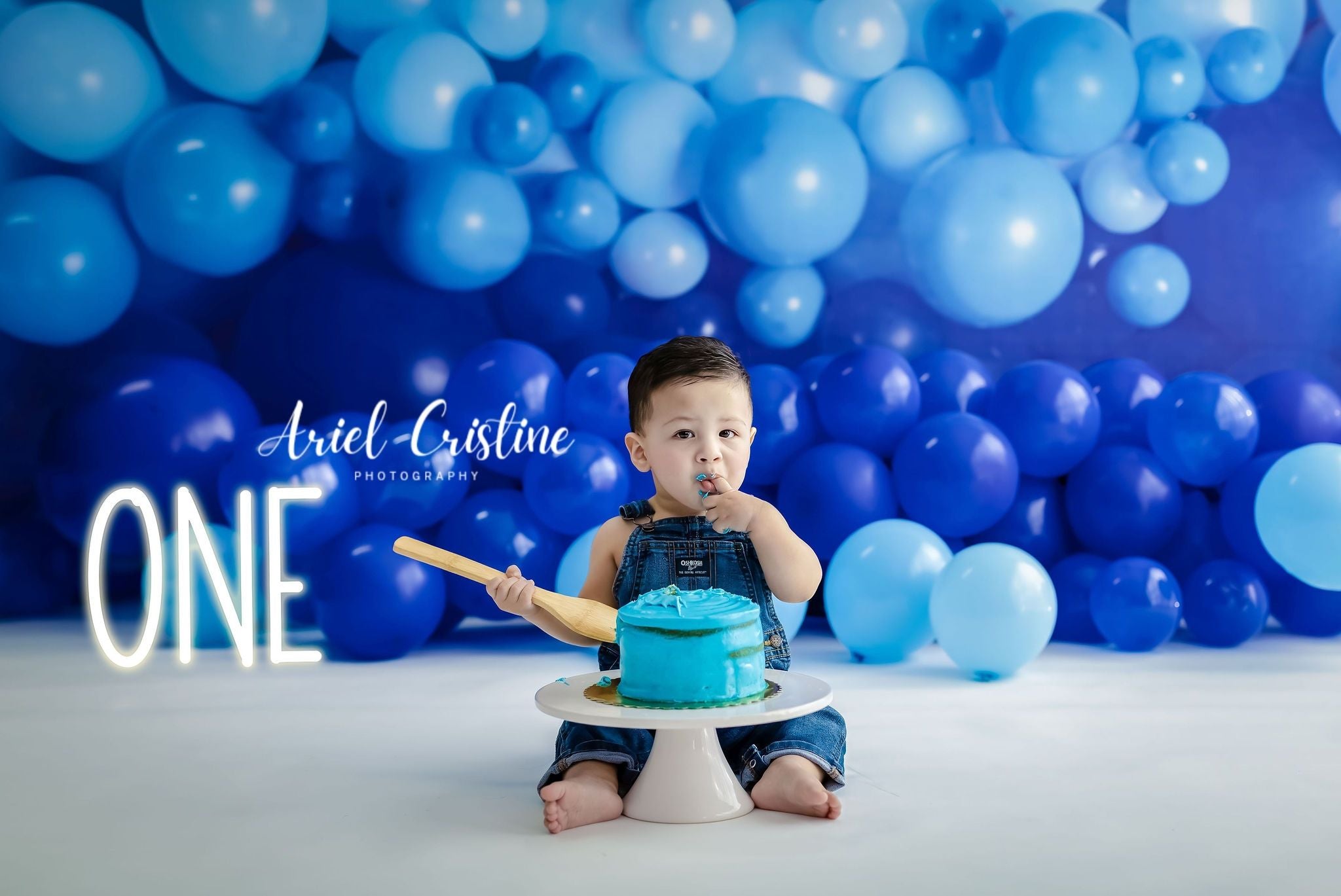 Kate Enfants Mur de ballons Bleu Toile de fond conçu par Mandy Ringe - Kate Backdrop FR
