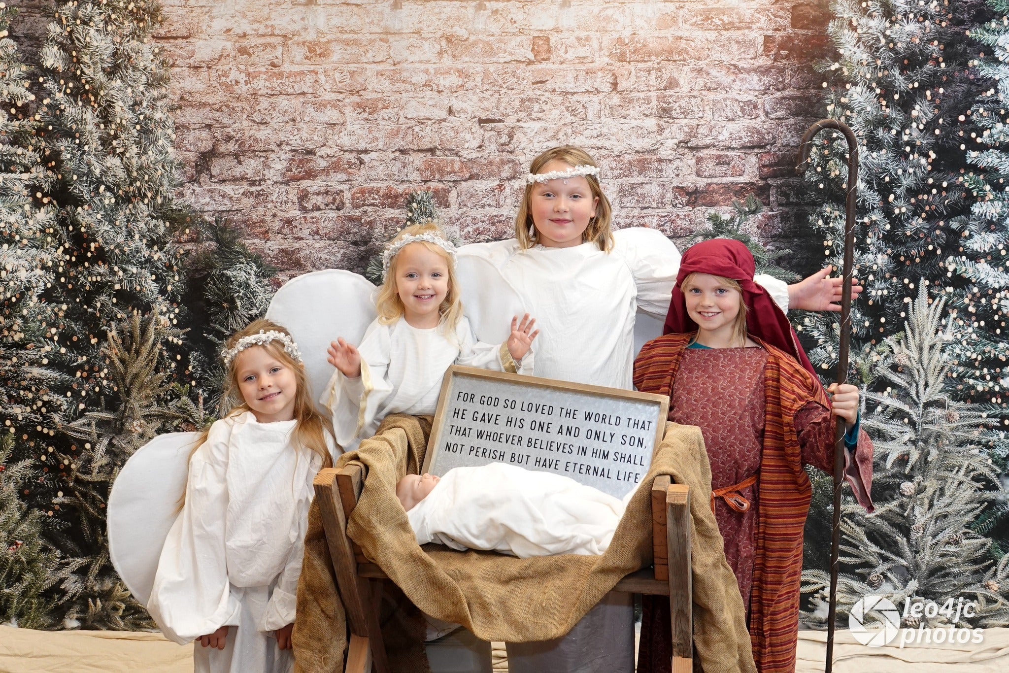 Kate Noël Extérieur Clôture Arbres Lumières Toile de fond conçue par Abbas Studio - Kate Backdrop FR