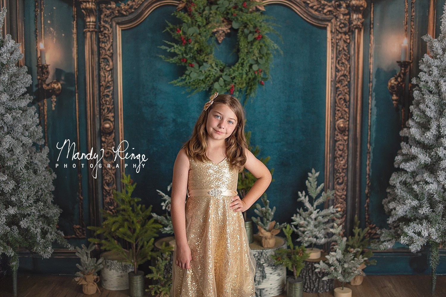 Kate Vert Mur Vintage Orné Classique Toile de fond conçue par Emetselch - Kate Backdrop FR