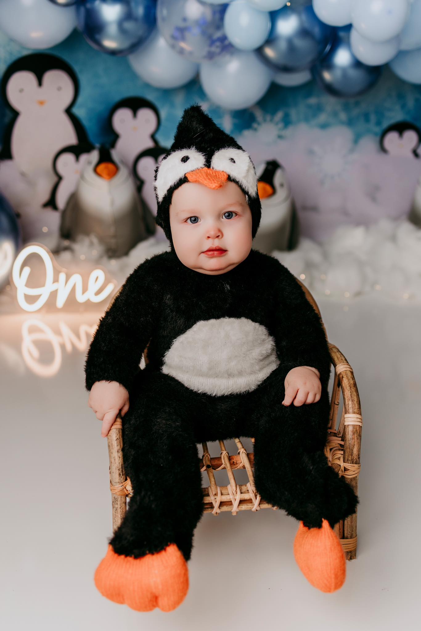 Kate Hiver Pingouins Neige Toile de fond conçu par Melissa King - Kate Backdrop FR