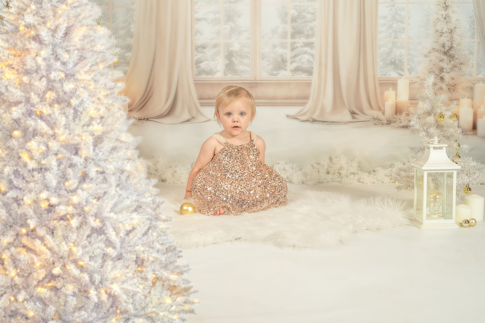 Kate Noël Blanc Doré Fenêtre Toile de fond conçue par Chain Photographie