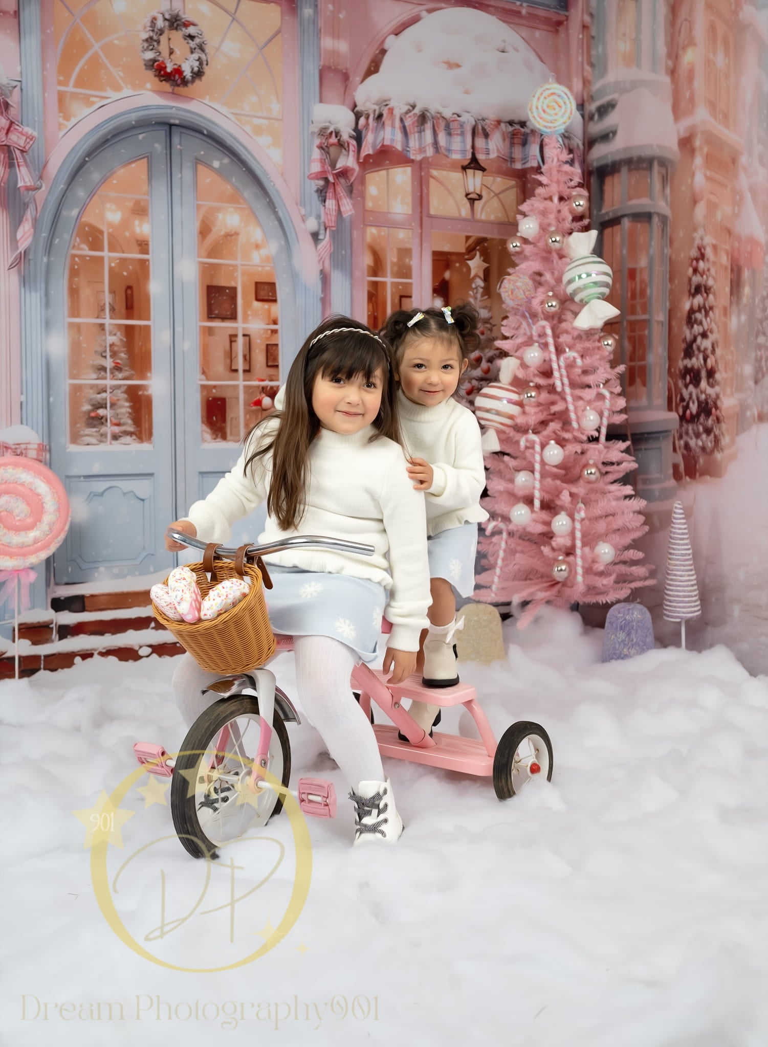 Kate Noël Rose Neige Rue Magasin Ensemble de chambre (8pix8pi&10pix8pi&8pix10pi) - Kate Backdrop FR