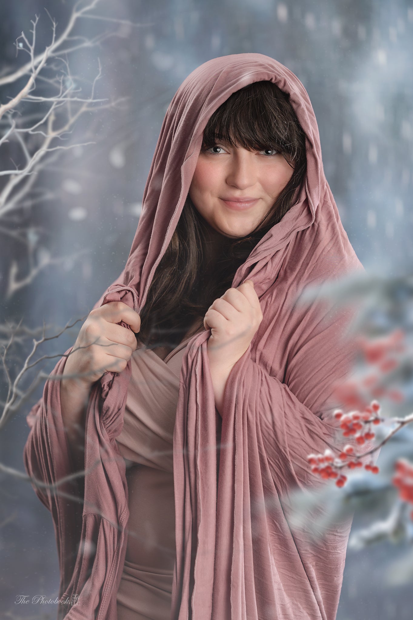 Kate Forêt enneigée Hiver Toile de fond pour la photographie conçue par Jerry_Sina - Kate Backdrop FR