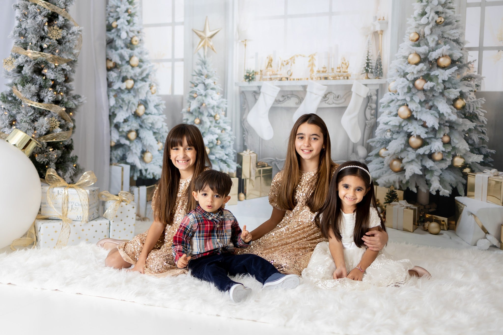 Kate Noël Fenêtre Arbres Cadeaux Doré Toile de fond pour la photographie - Kate Backdrop FR