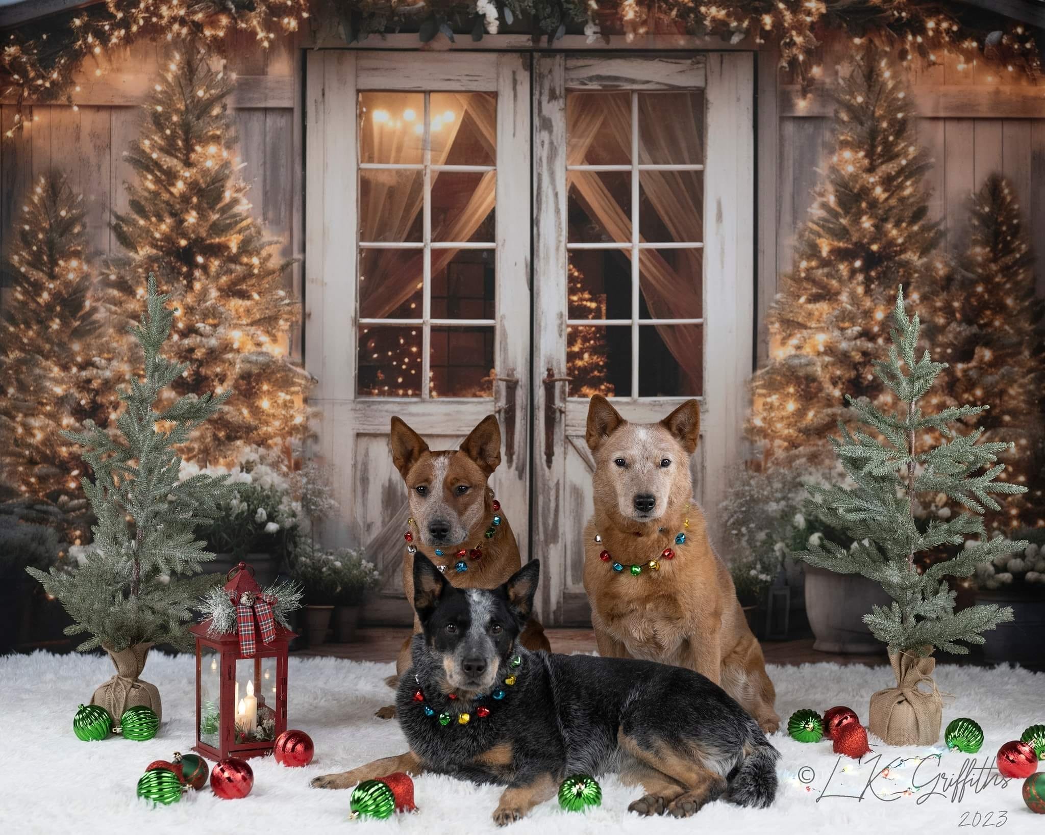 Kate Noël Grange Arbres Toile de fond conçue par Emetselch - Kate Backdrop FR