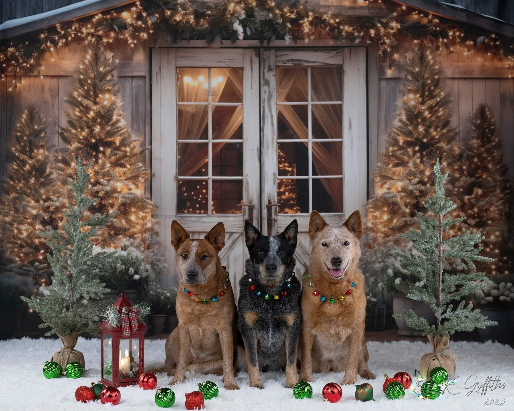 Kate Noël Grange Arbres Toile de fond conçue par Emetselch - Kate Backdrop FR