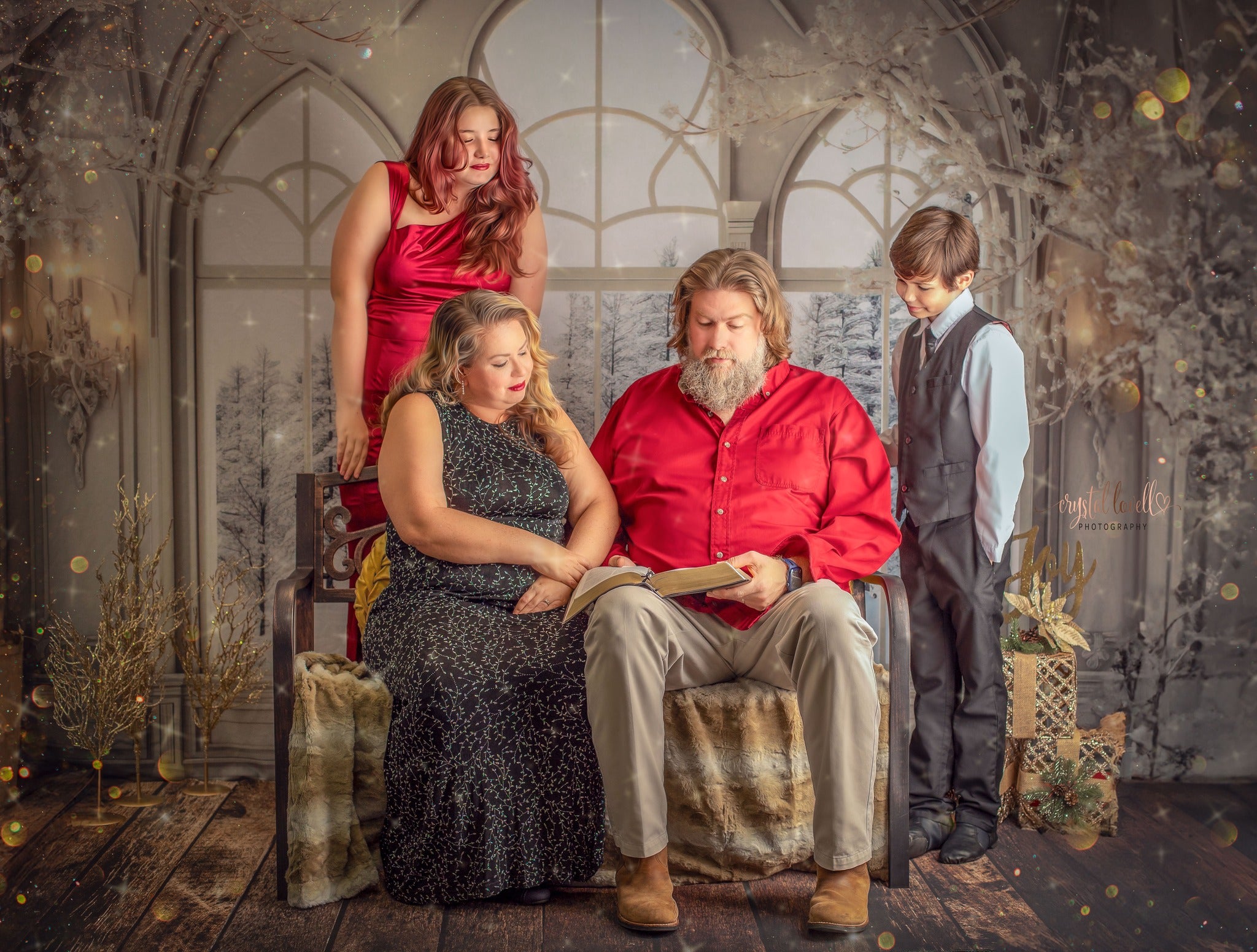 Kate Hiver Chambre Luxe Givrée Fenêtres Toile de fond conçue par Mini MakeBelieve - Kate Backdrop FR