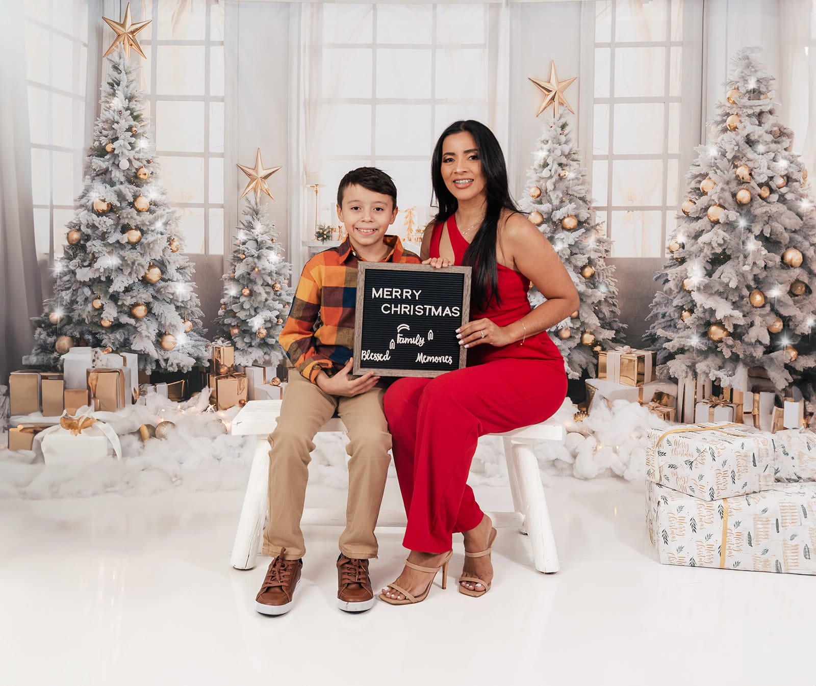 Kate Noël Fenêtre Arbres Cadeaux Doré Toile de fond pour la photographie - Kate Backdrop FR