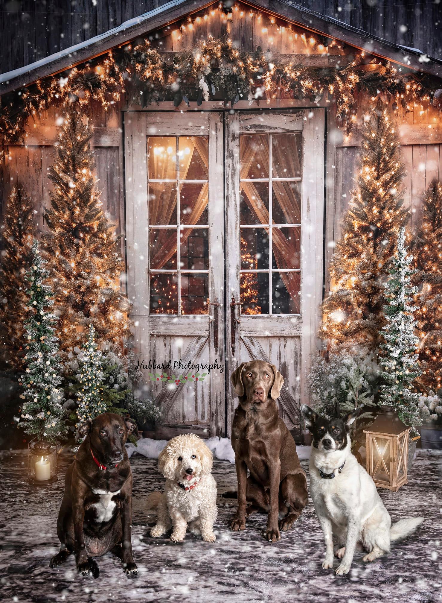 Kate Noël Grange Arbres Toile de fond conçue par Emetselch - Kate Backdrop FR