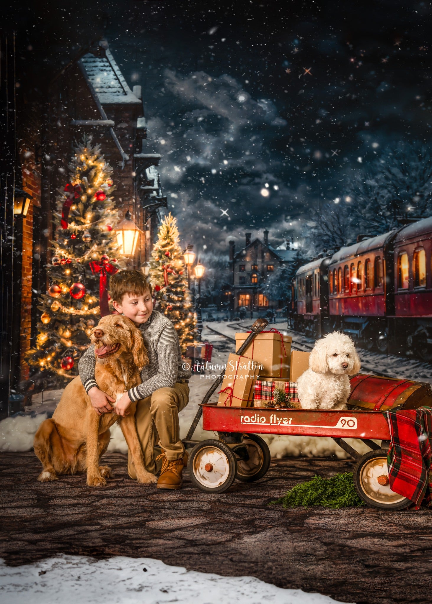Kate Hiver Noël Arbre Train Toile de fond conçue par Emetselch - Kate Backdrop FR