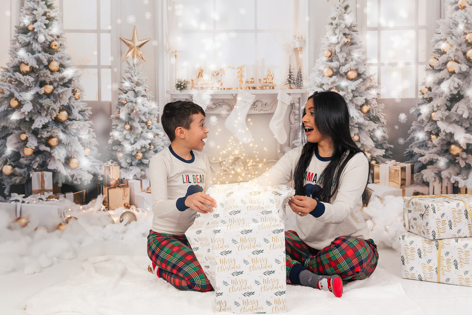 Kate Noël Fenêtre Arbres Cadeaux Doré Toile de fond pour la photographie - Kate Backdrop FR