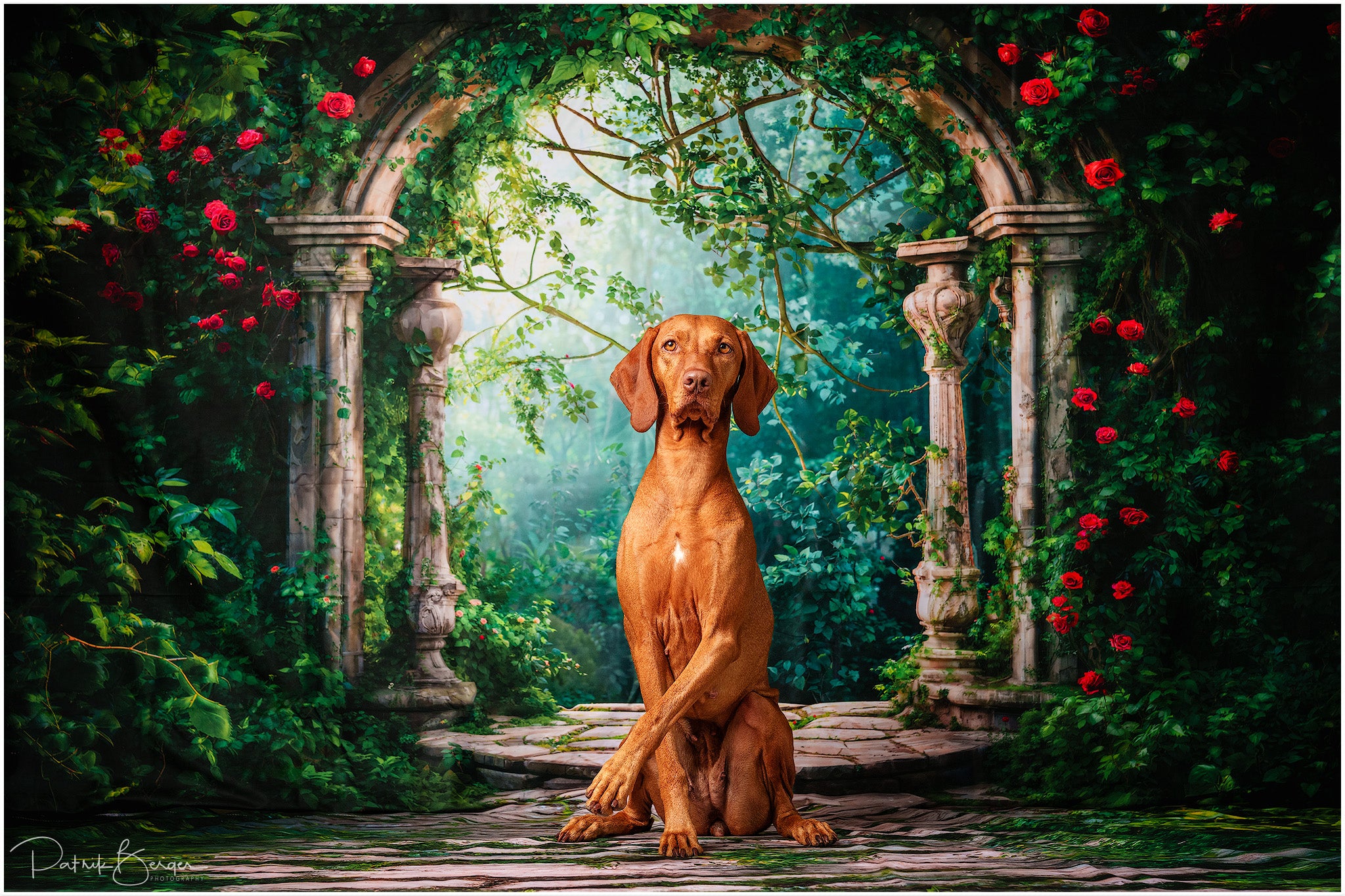 Kate Printemps Forêt Verdure Arche de fleurs Toile de fond+Herbe verte Pierre Sol Toile de fond - Kate Backdrop FR