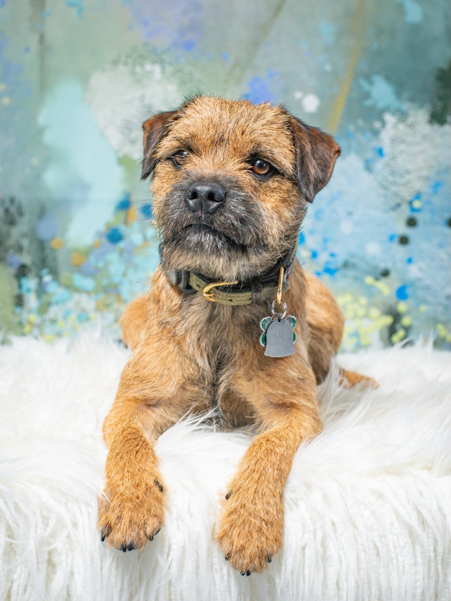 Kate Fleurs Jardin Peinture à l'huile Printemps Bokeh Toile de fond pour la photographie - Kate Backdrop FR