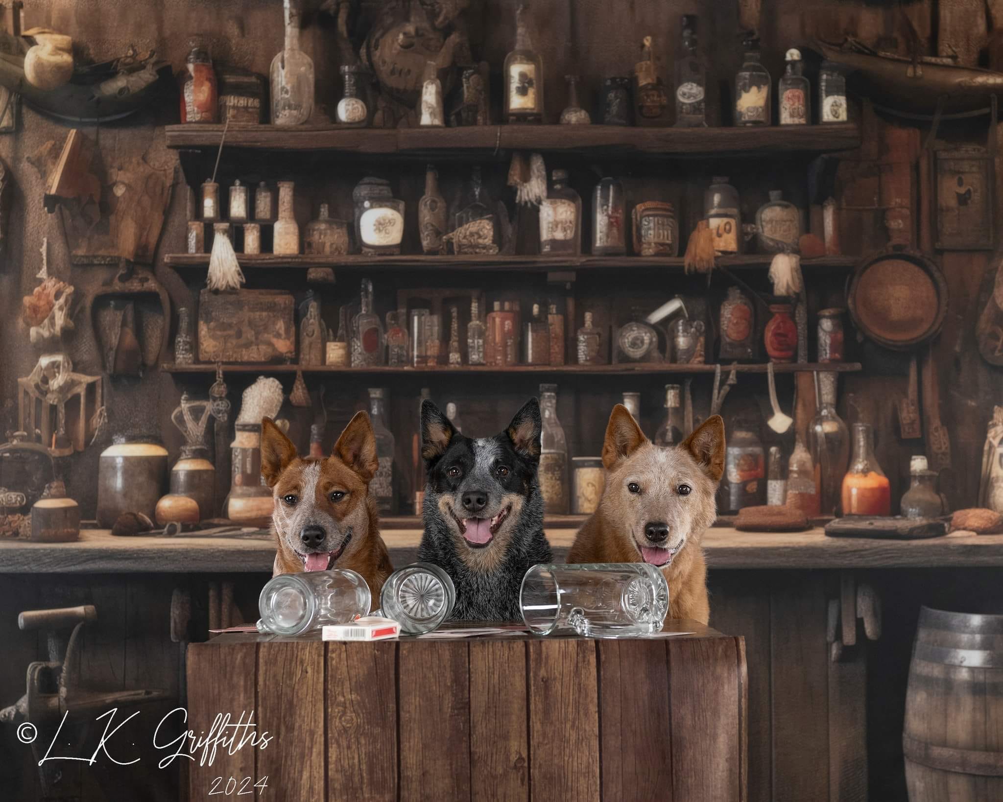 Kate Vieux Cow-boy Occidental Salon Mur Toile de fond conçue par Mandy Ringe - Kate Backdrop FR