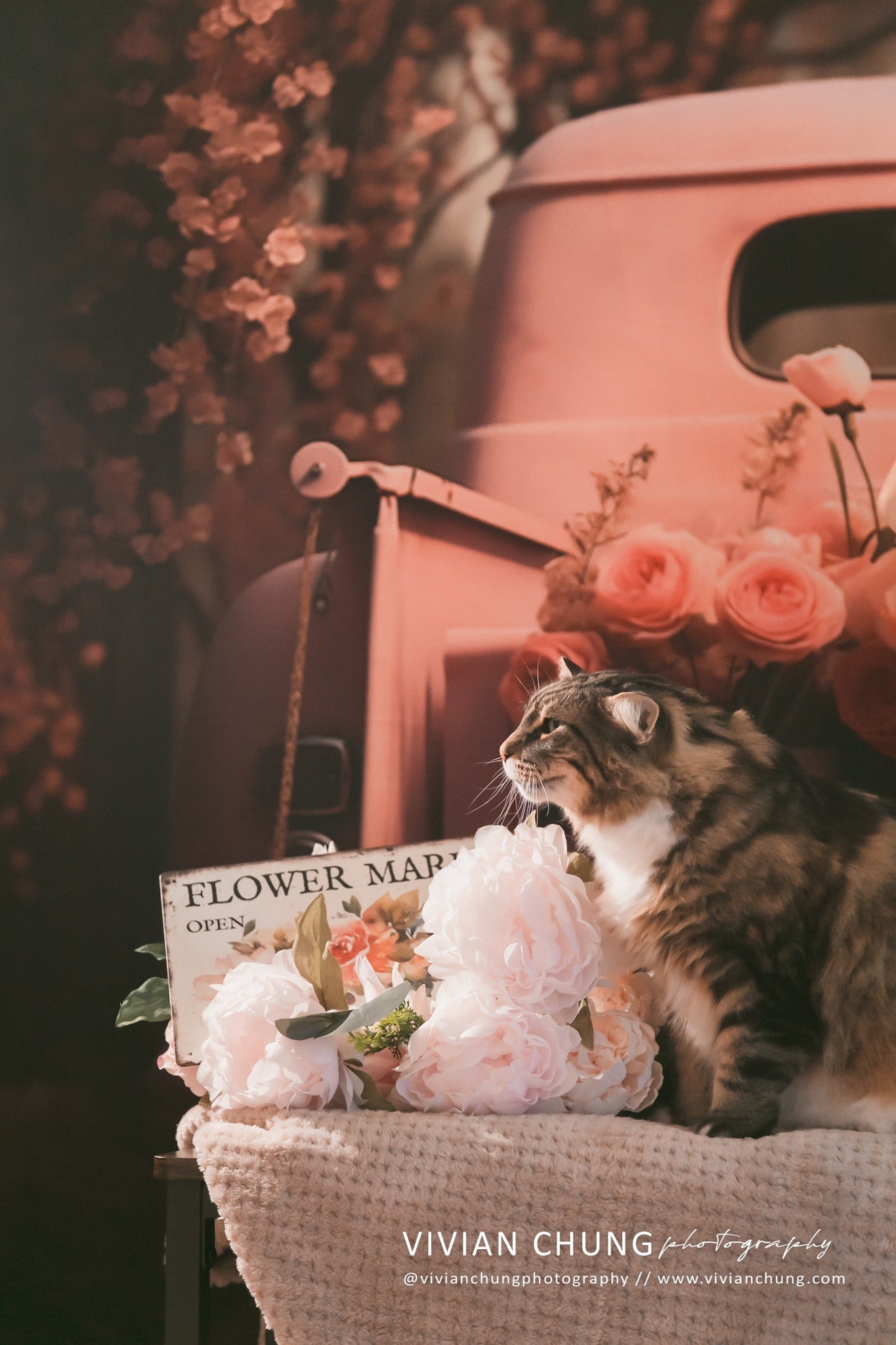 Kate Saint Valentin Rose Fleurs Camion Toile de fond conçue par Chain Photographie - Kate Backdrop FR